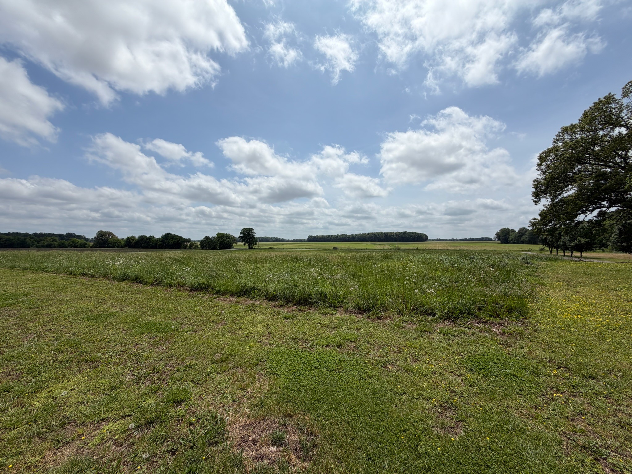 2600 State Line Rd, W Property Photo 59