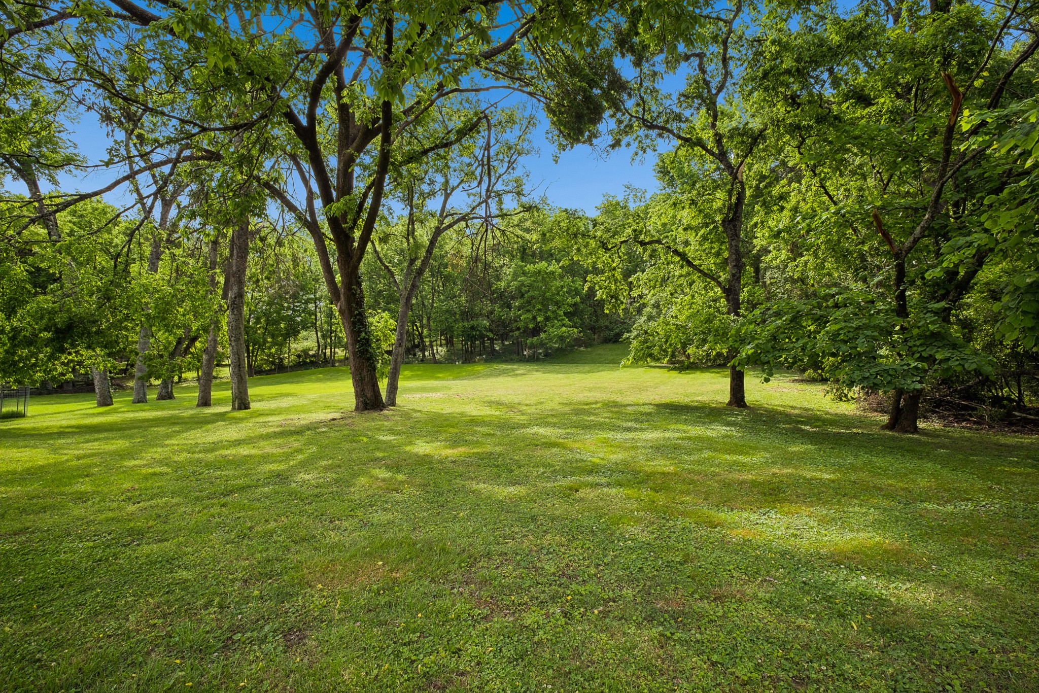 1311 Tyne Blvd Property Photo 7