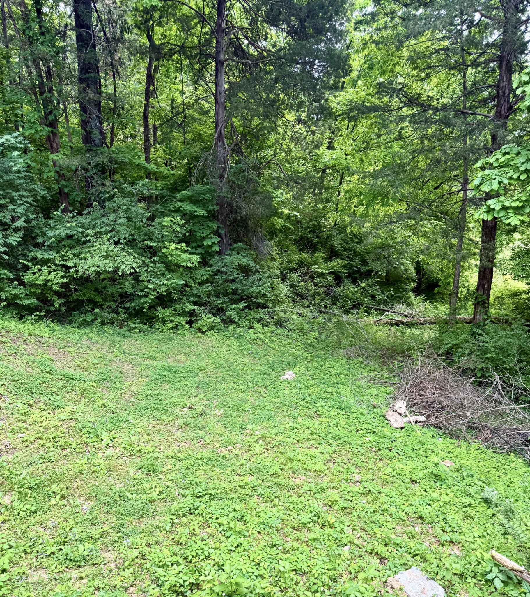 7035 Willowick Dr Property Photo 35