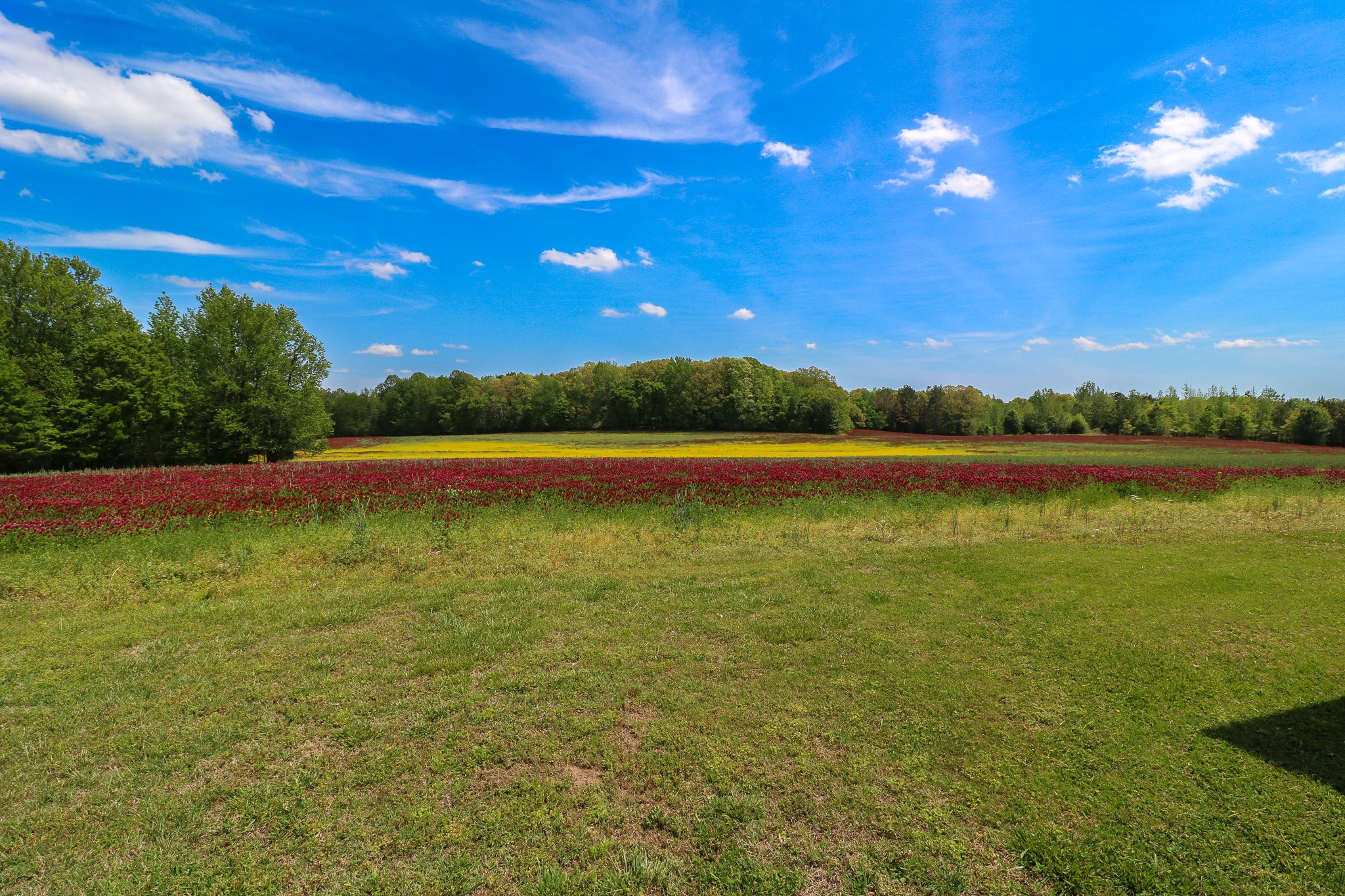 11450 Mcillwain Rd Property Photo 8