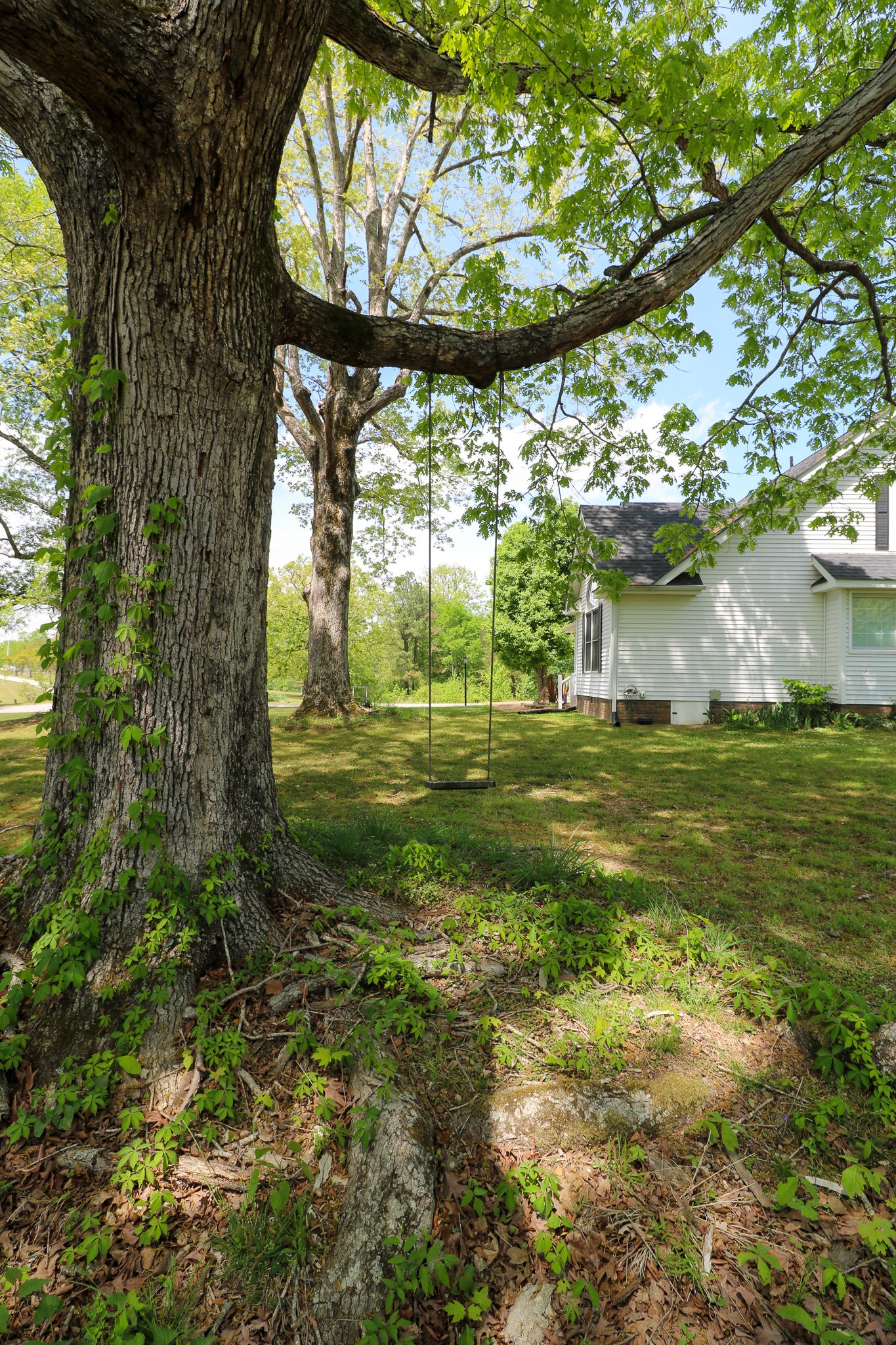 11450 Mcillwain Rd Property Photo 39