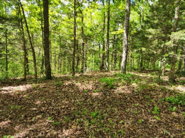 0 Froest Trails Property Photo 1