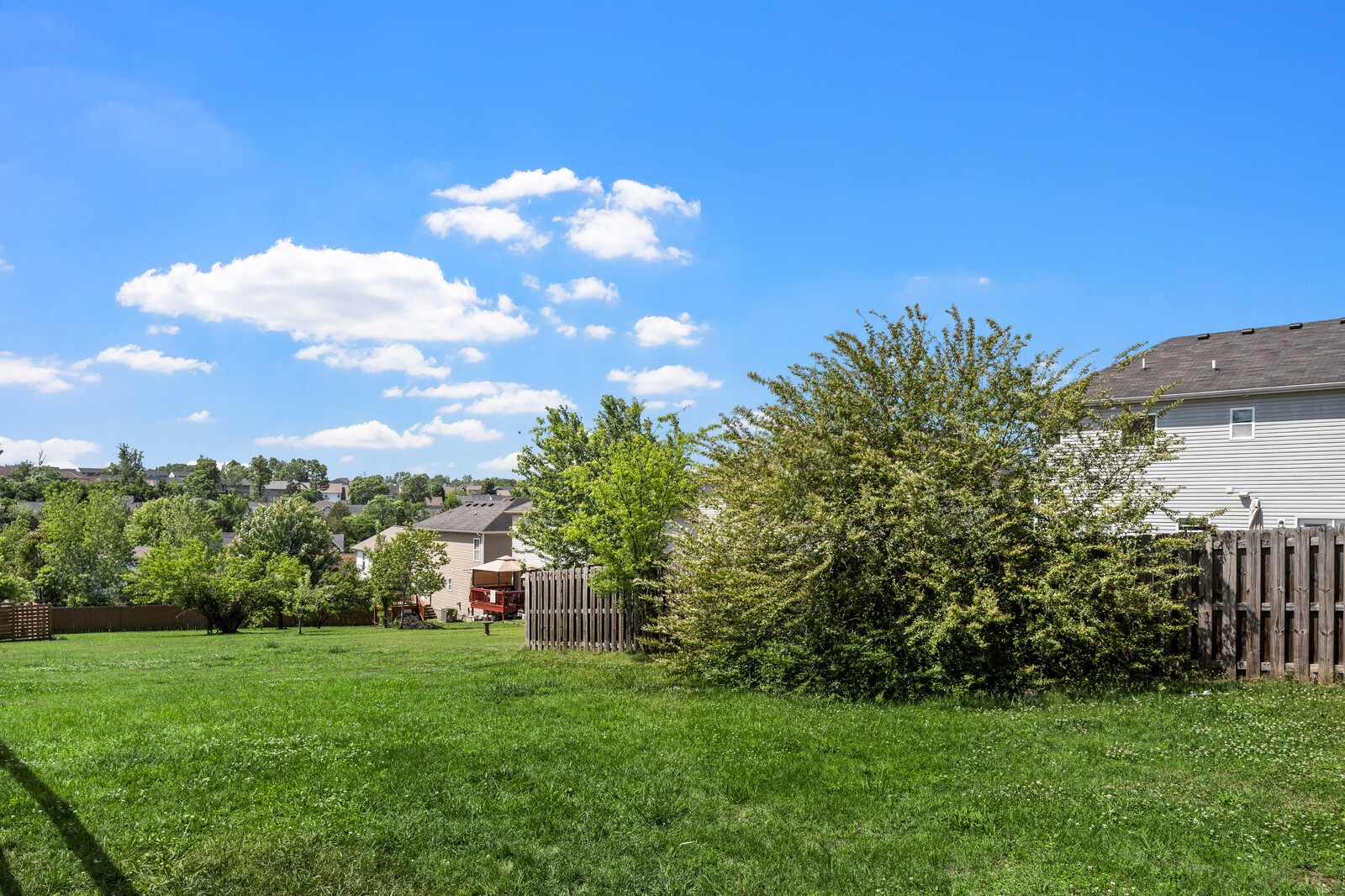 1433 Ohara Dr Property Photo 50