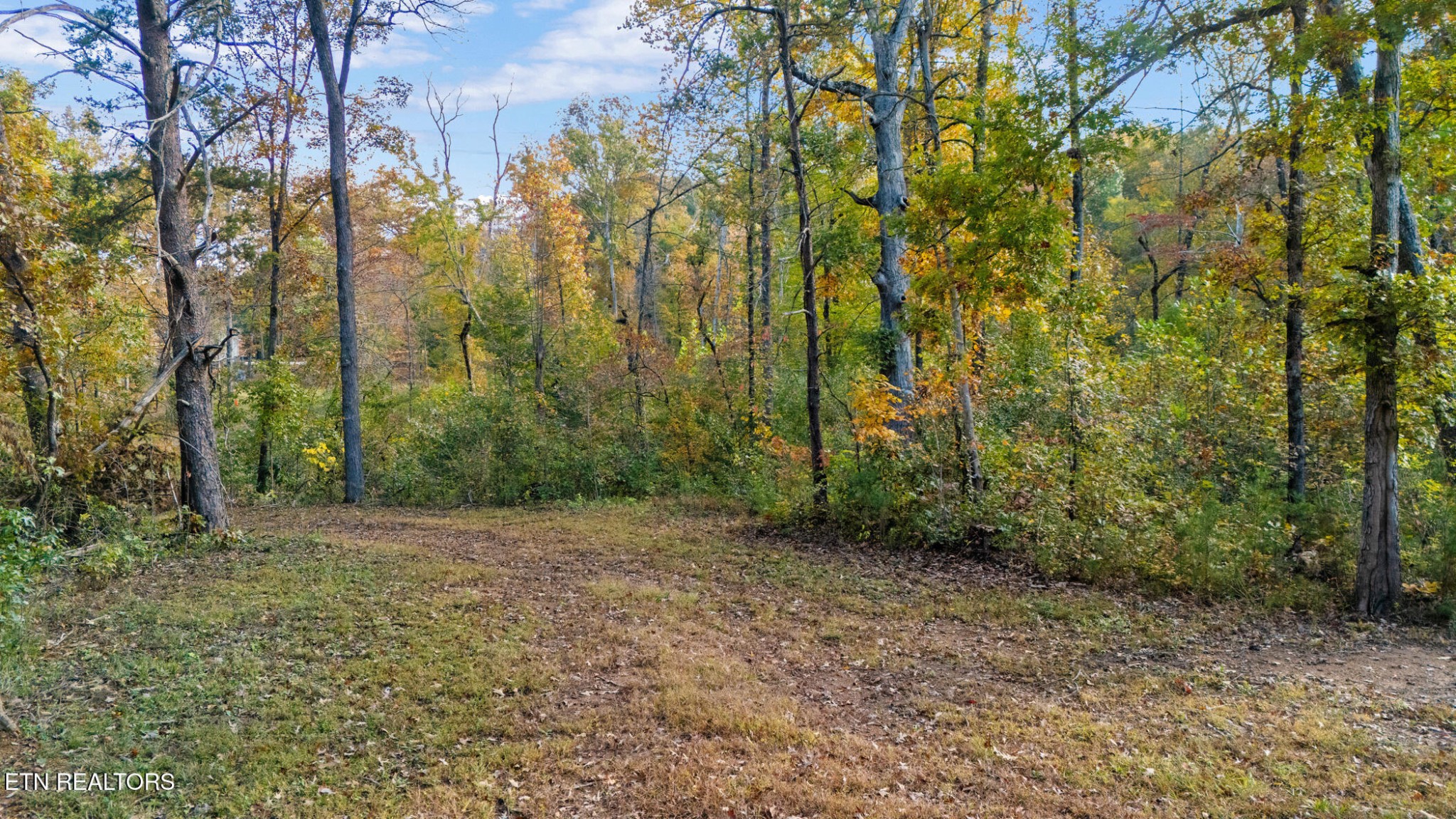 209 Ridge Rd Property Photo 2