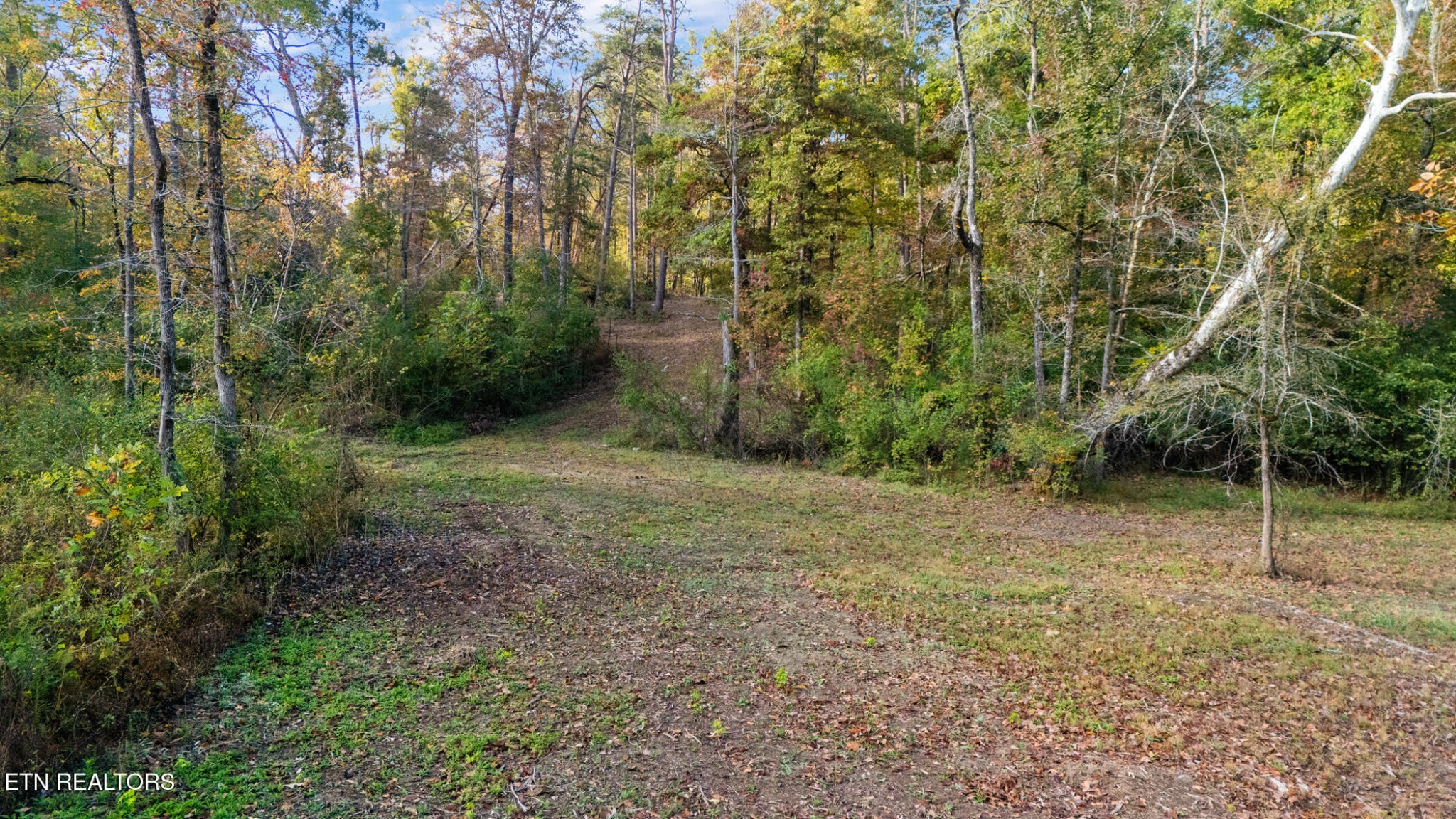 209 Ridge Rd Property Photo 3