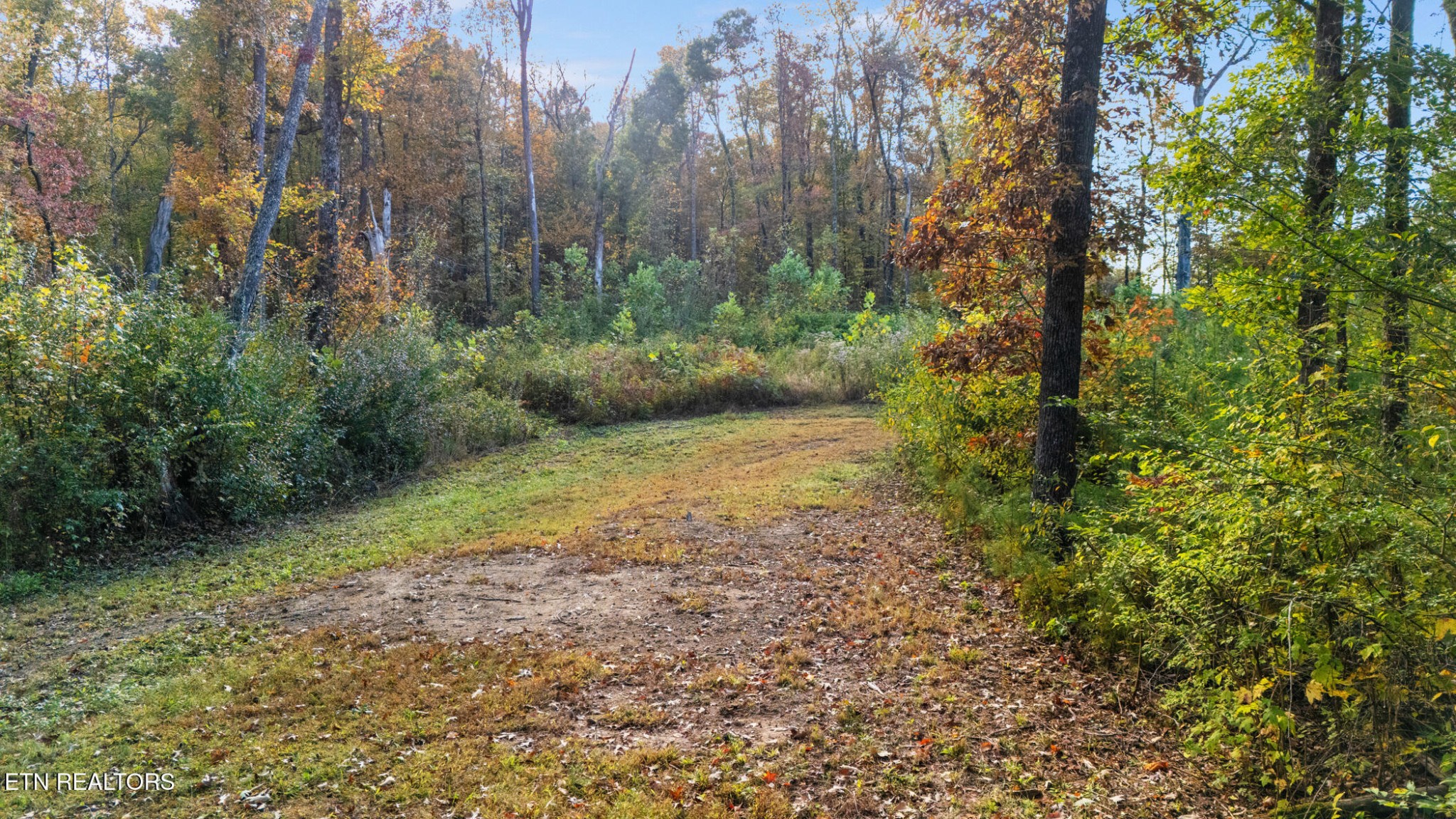 209 Ridge Rd Property Photo 9