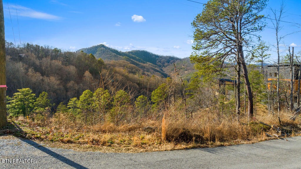 0 Sugar Maple Loop Rd Property Photo 1