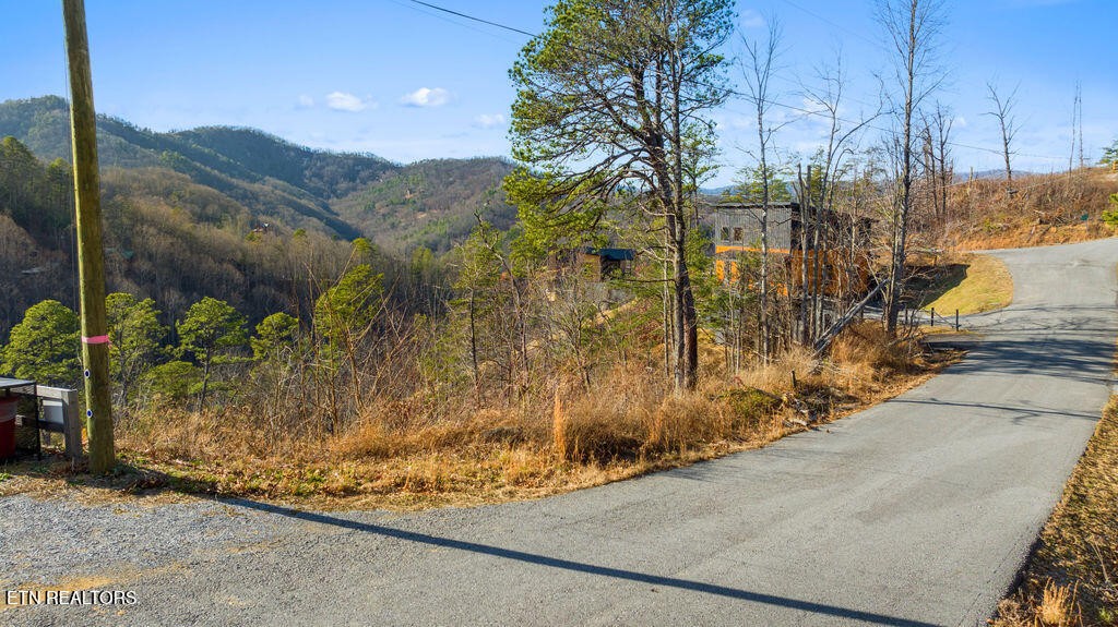 0 Sugar Maple Loop Rd Property Photo 2
