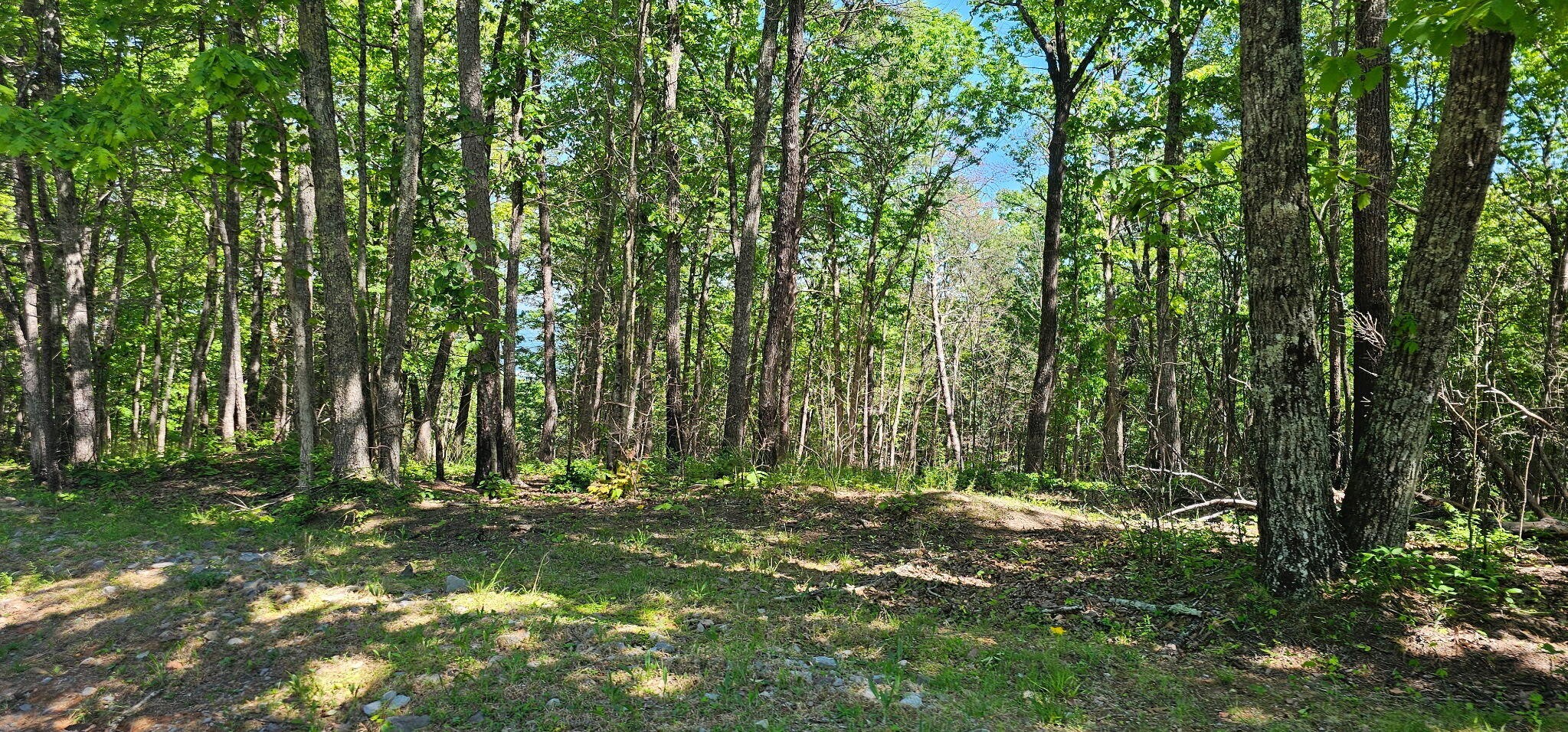 0 Bluffview Dr Property Photo 1