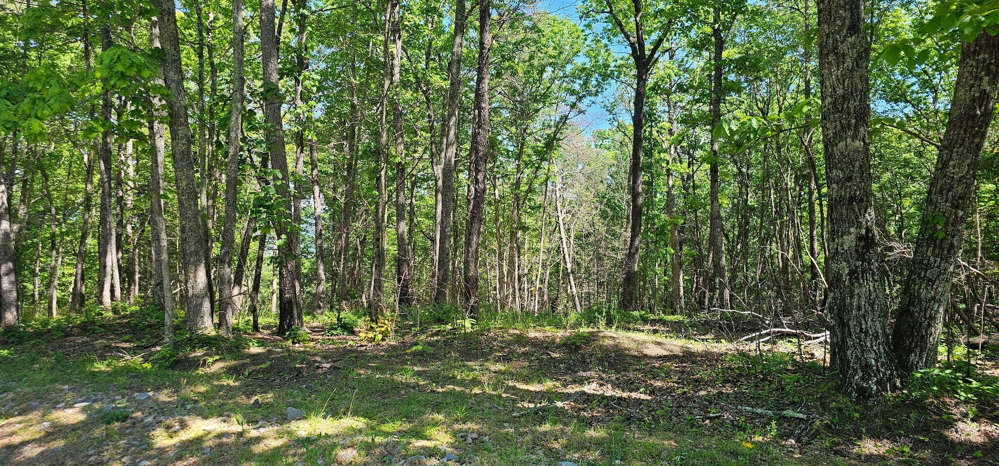 0 Bluffview Dr Property Photo 3