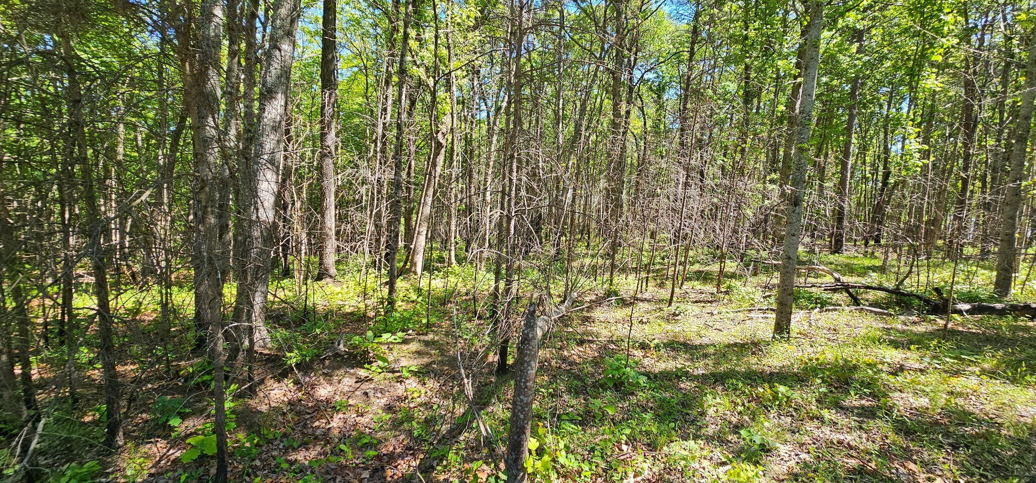 0 Bluffview Dr Property Photo 7