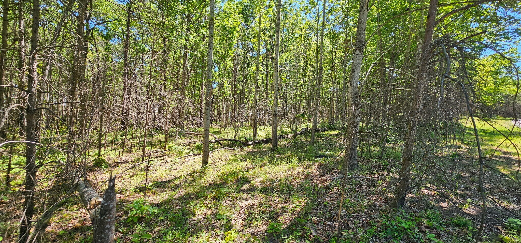 0 Bluffview Dr Property Photo 11