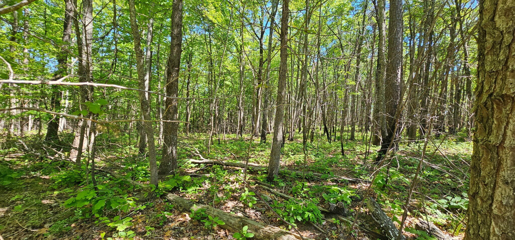0 Bluffview Dr Property Photo 12