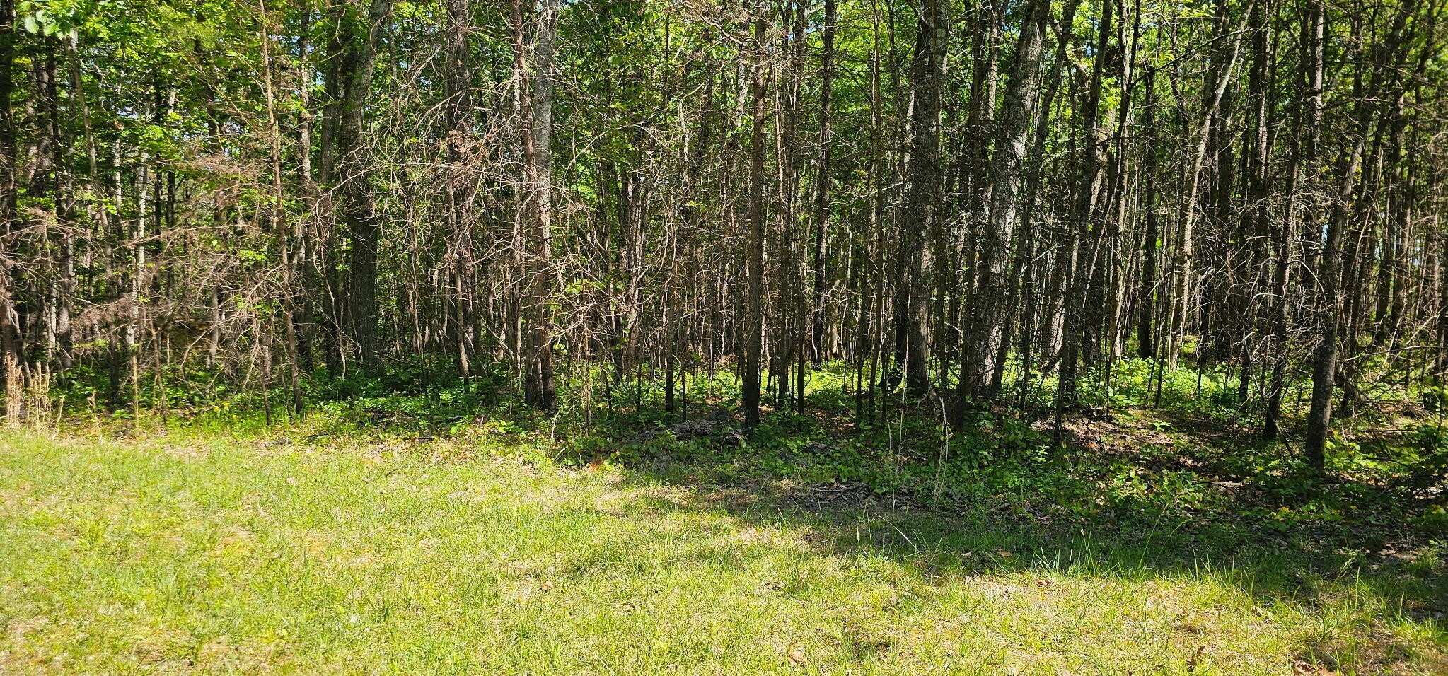 0 Bluffview Dr Property Photo 13