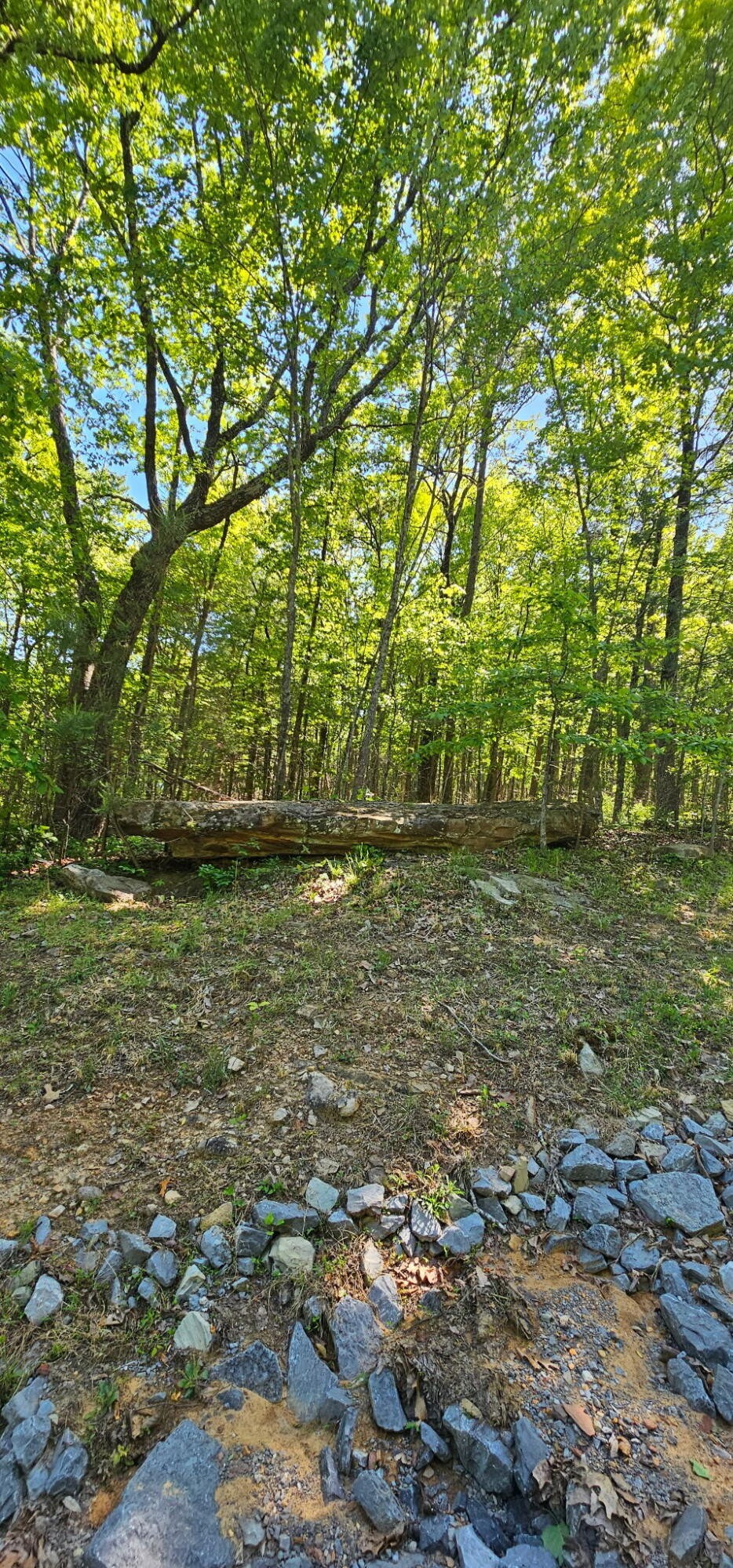 0 Bluffview Dr Property Photo 14