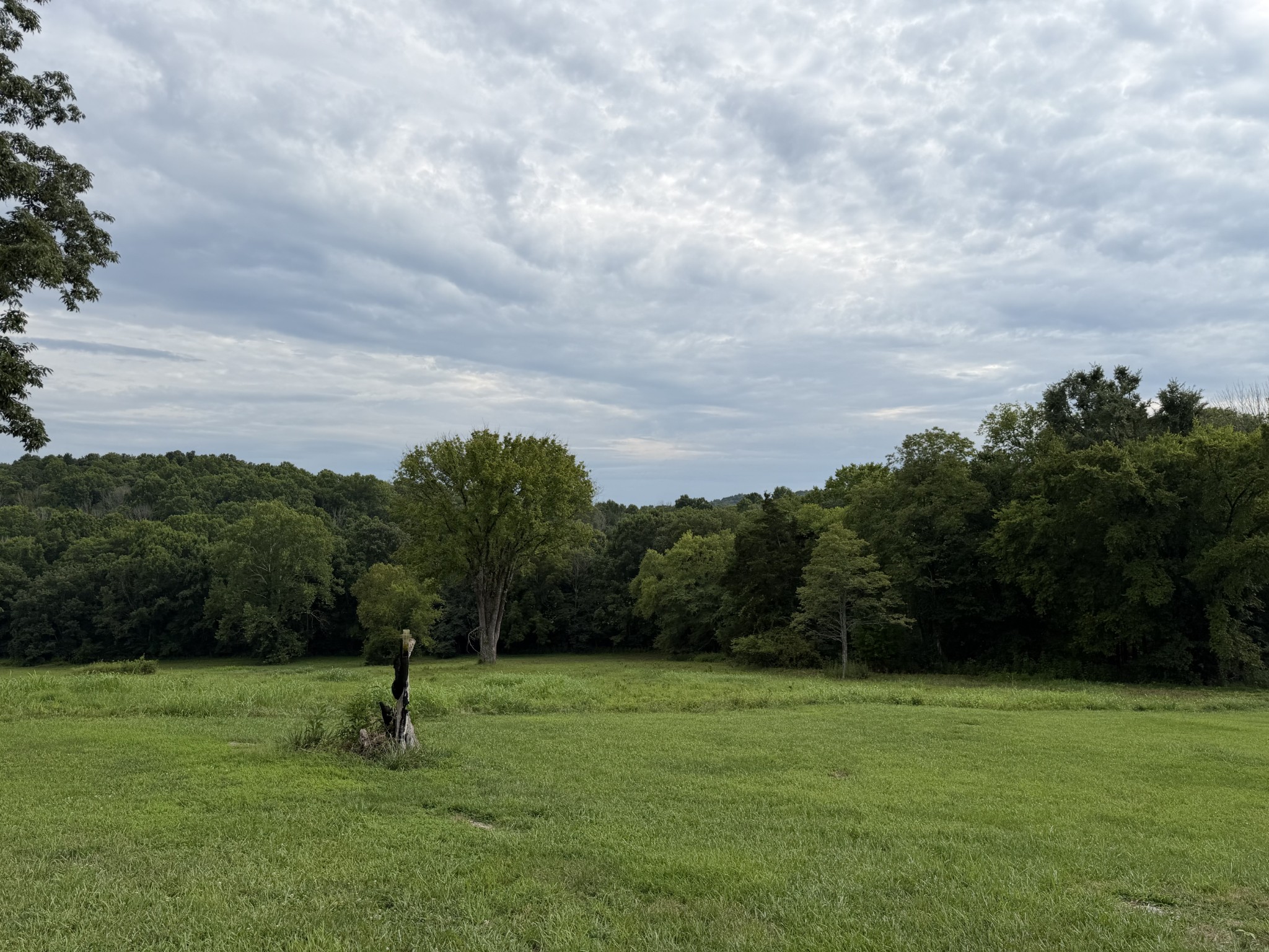 2370 Patton Hollow Rd Property Photo 1