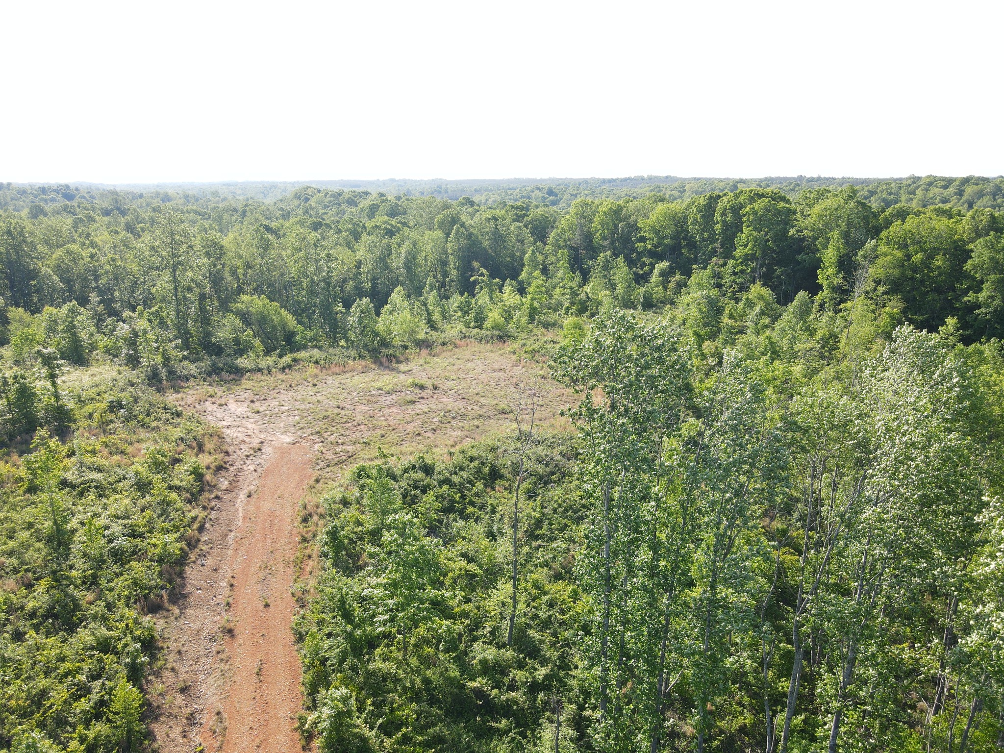 303 Hurricane Creek Property Photo 11