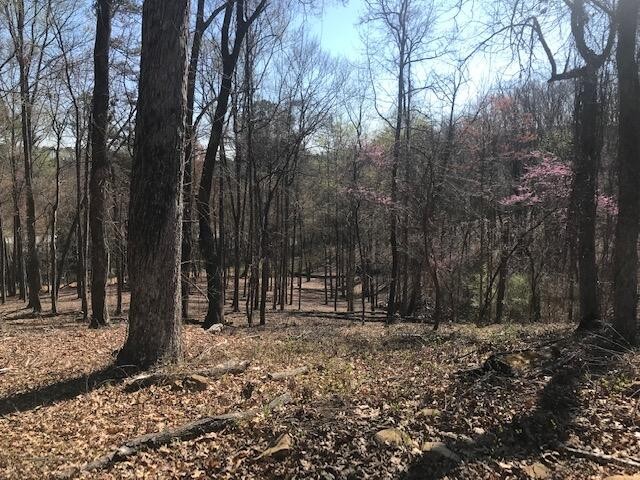 10556 Dayton Pike Property Photo 1