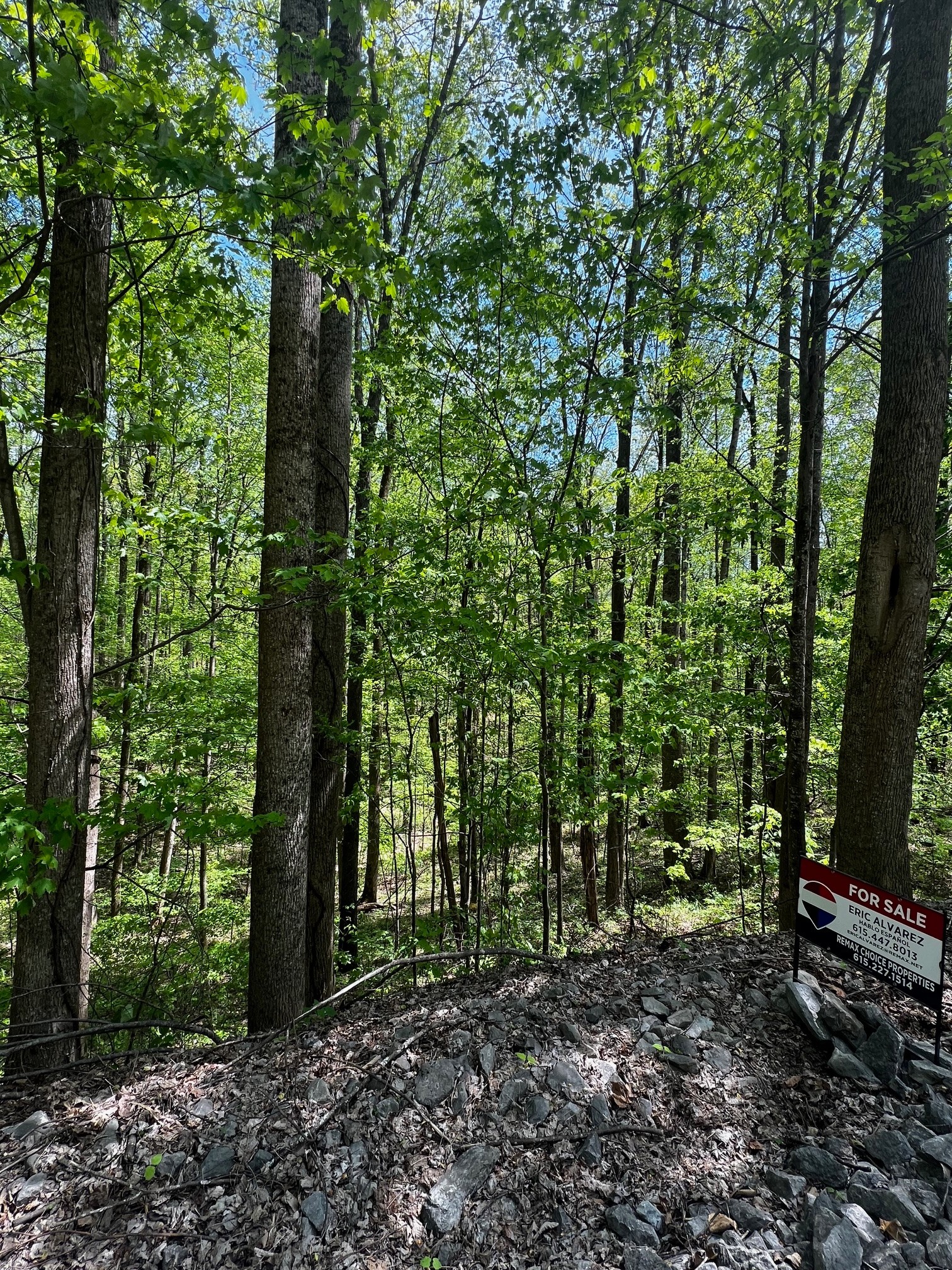 0 Lola Dr Property Photo 1