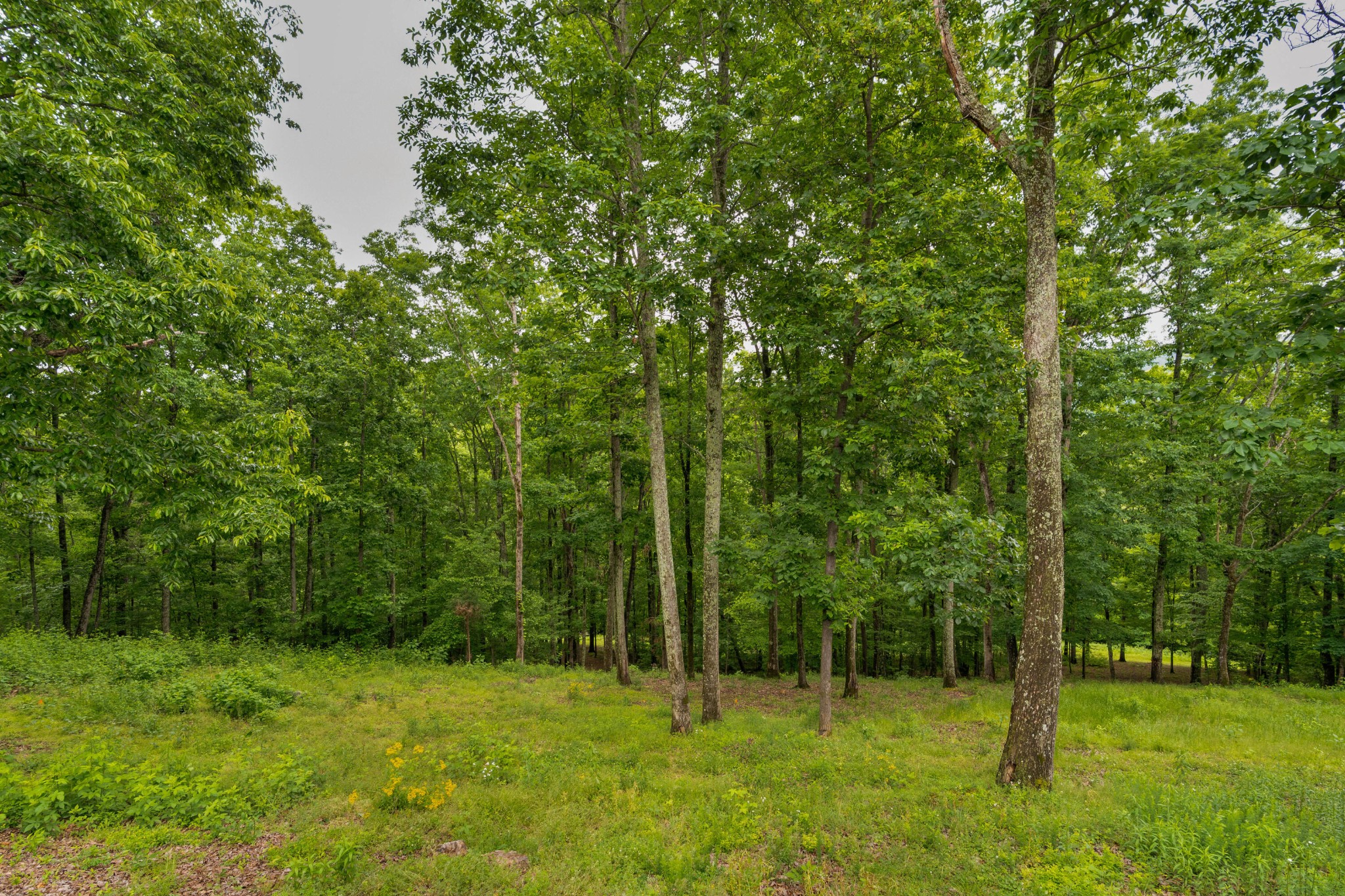 911 New England Road Property Photo 100