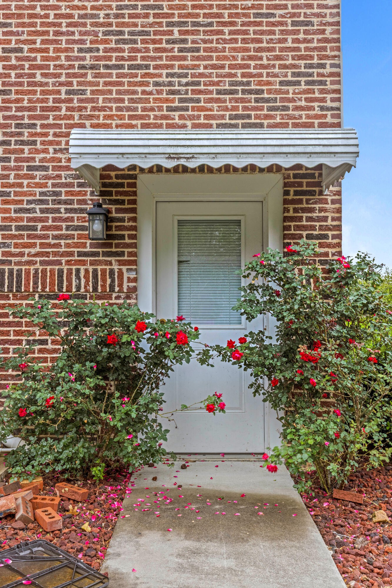 209 Browntown Road Property Photo 66