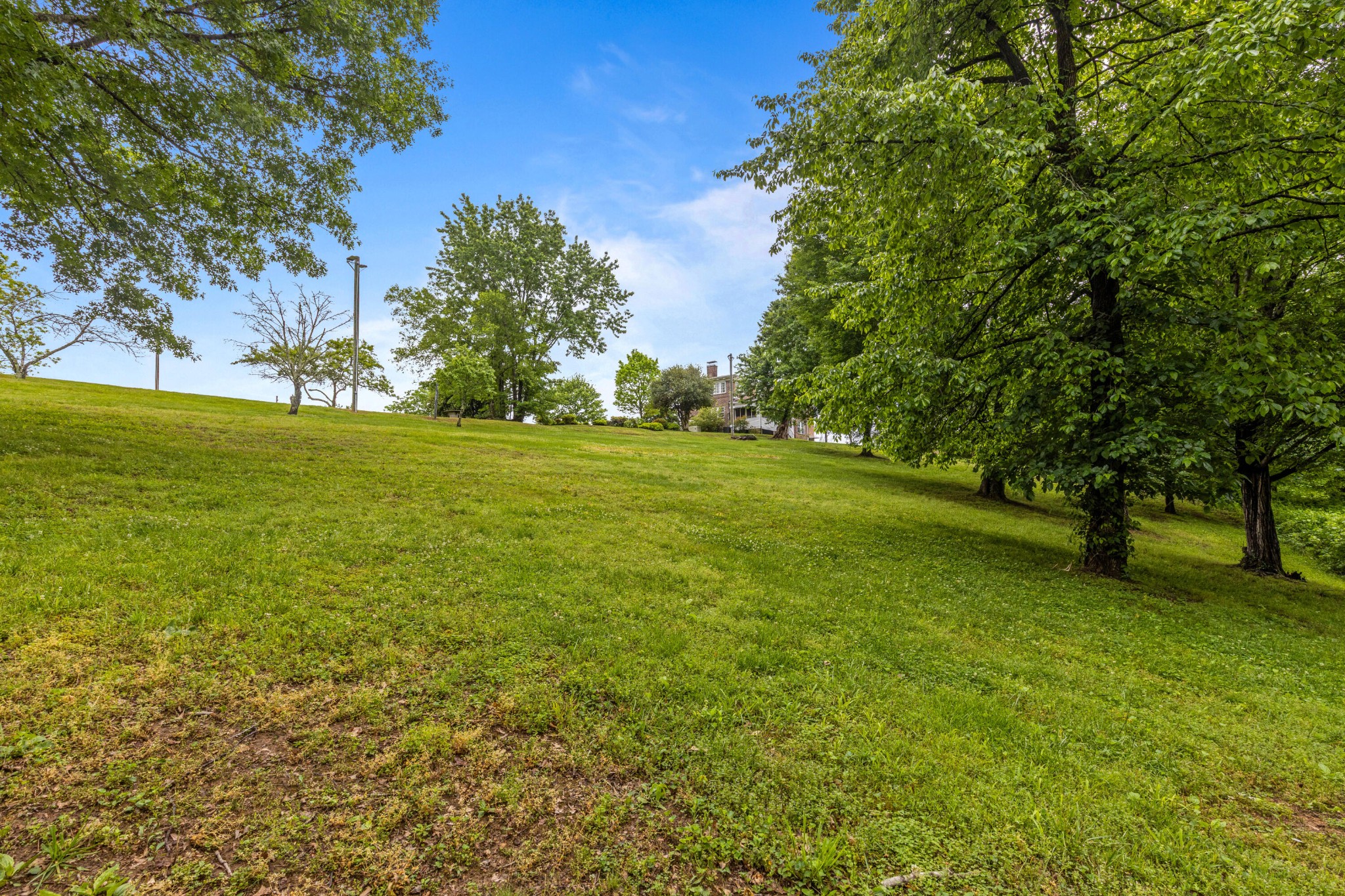 209 Browntown Road Property Photo 83