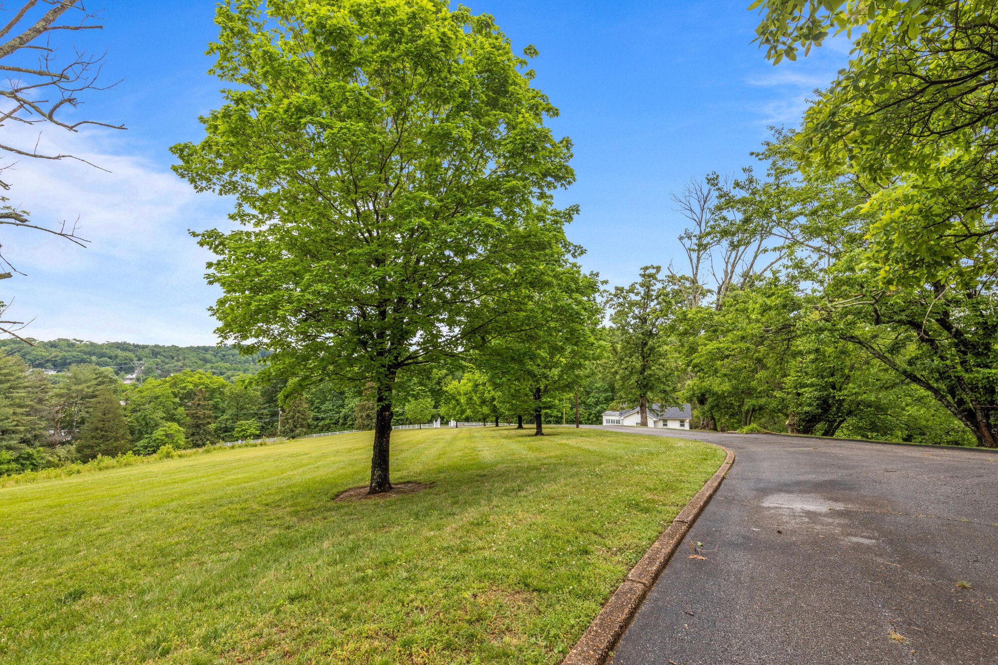 209 Browntown Road Property Photo 86