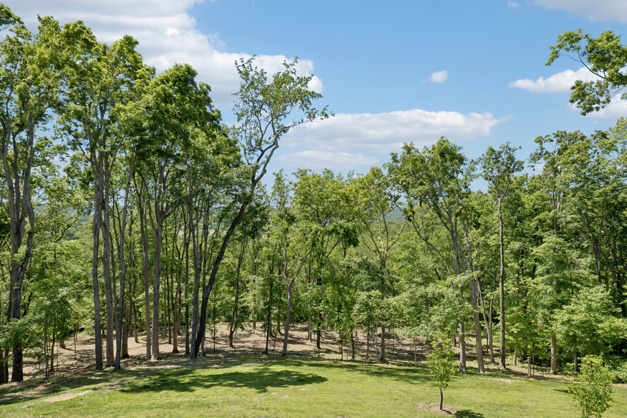 1119 Harpeth Ridge Rd Property Photo 83