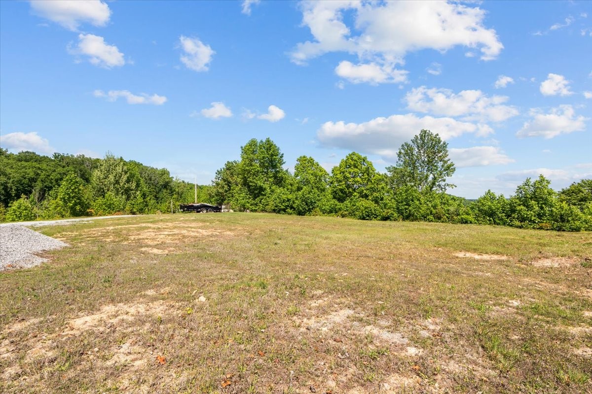 0 Blacks Bluff Property Photo 3