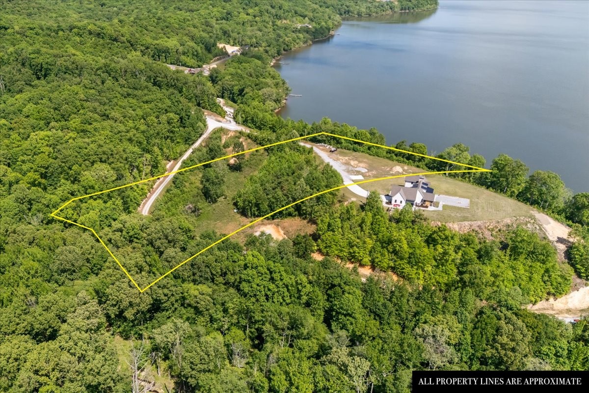 0 Blacks Bluff Property Photo 4