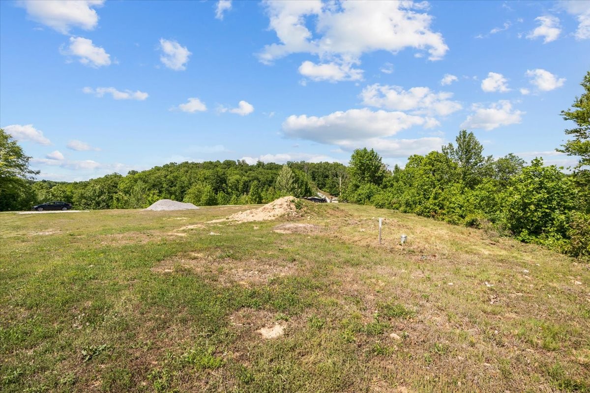 0 Blacks Bluff Property Photo 6