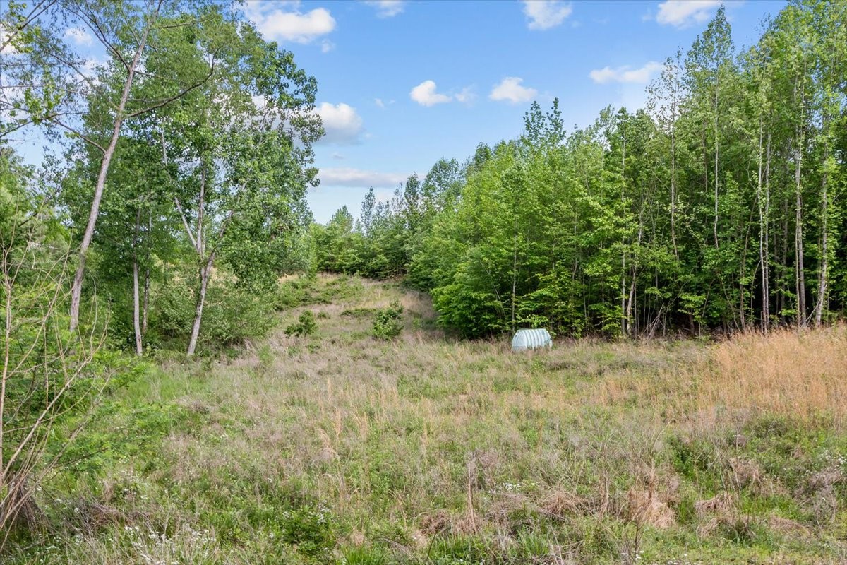 0 Blacks Bluff Property Photo 11