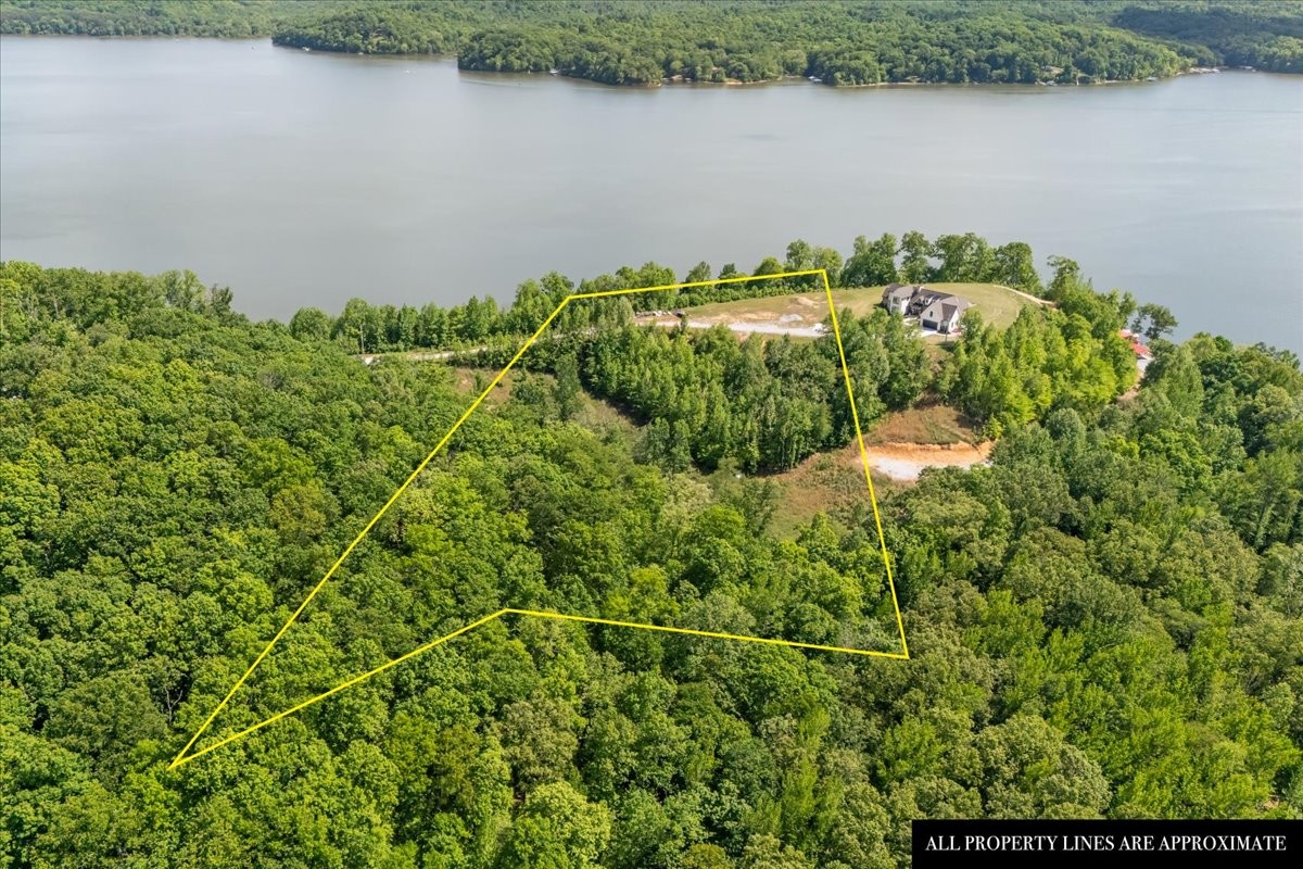 0 Blacks Bluff Property Photo 16