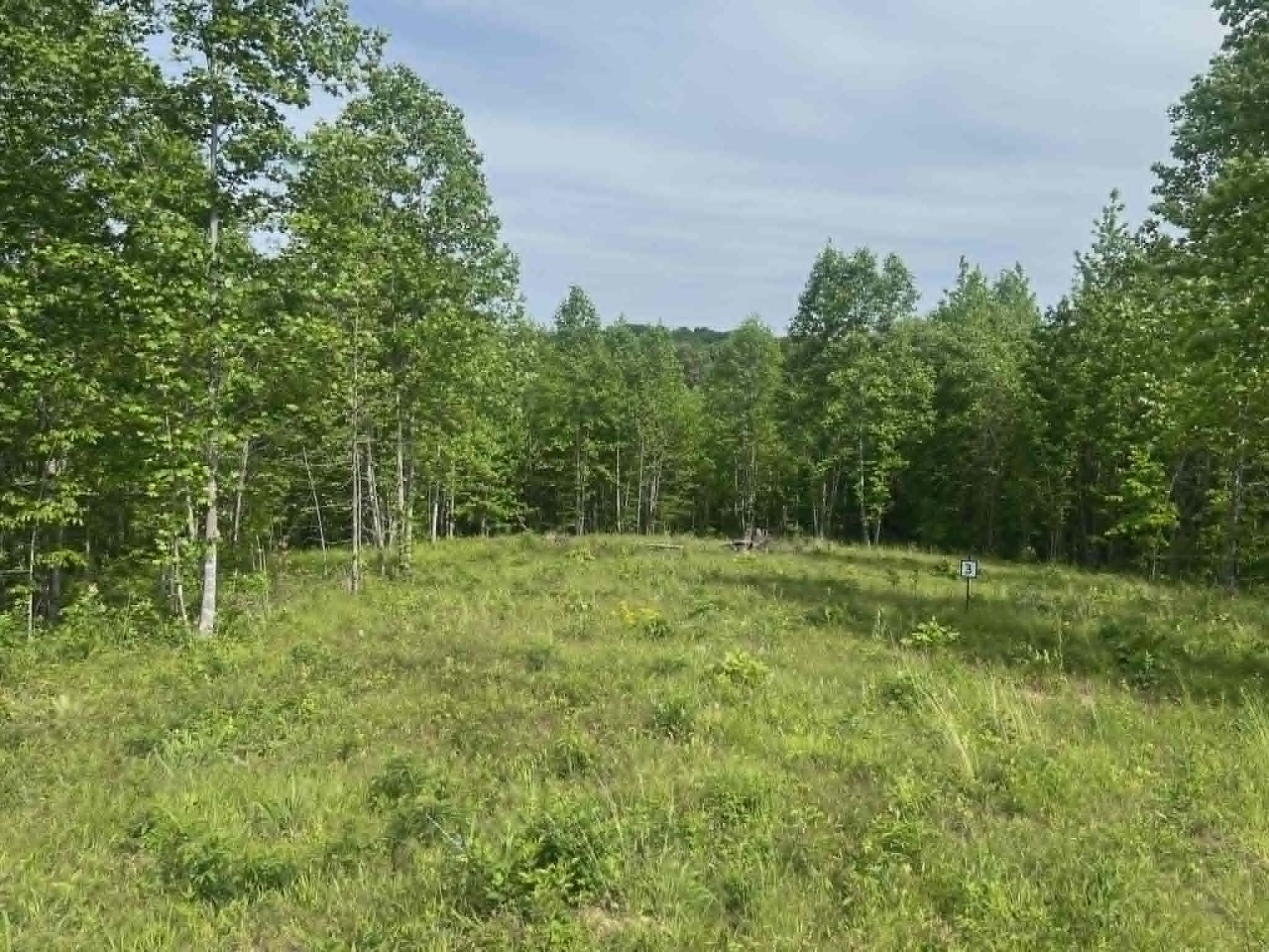 0 Freedom Ridge Property Photo 1