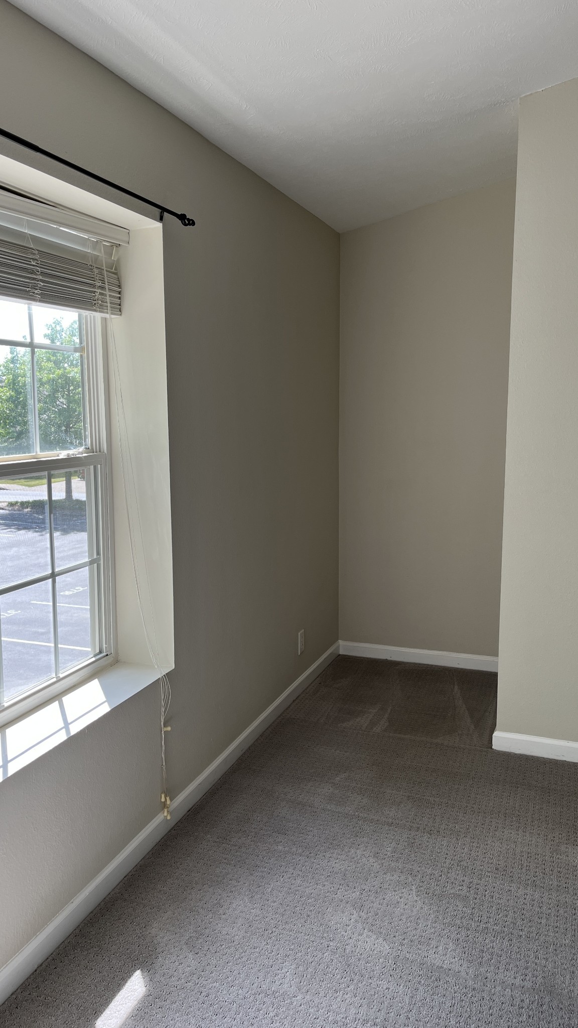 3714 Alchemy Ct Property Photo 13