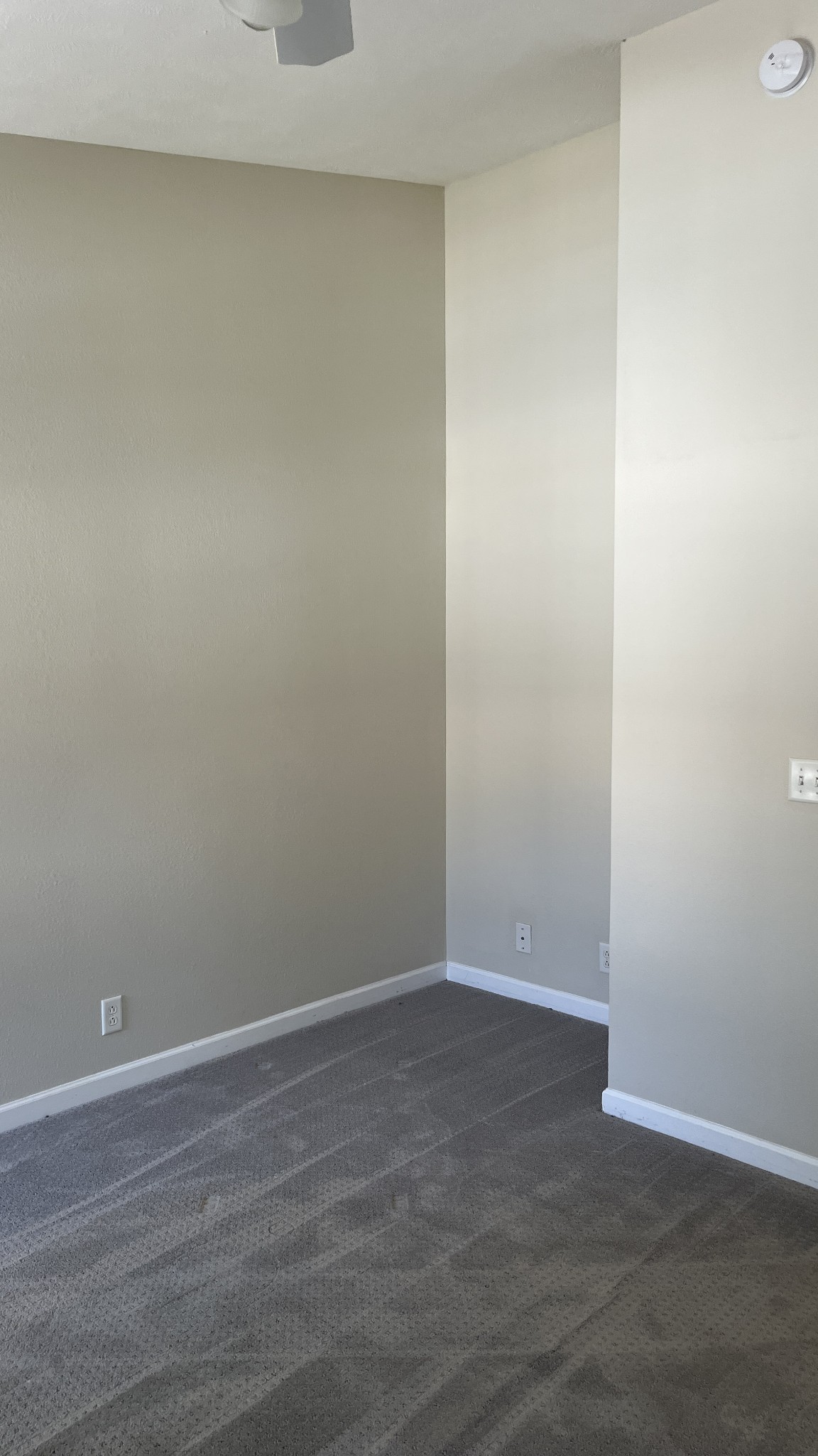 3714 Alchemy Ct Property Photo 15