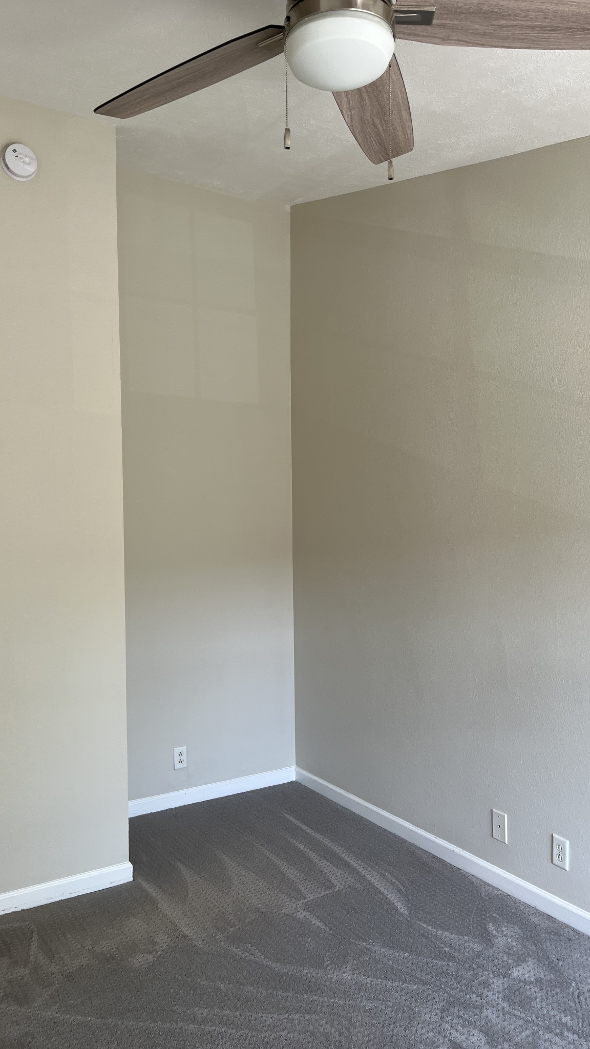 3714 Alchemy Ct Property Photo 21
