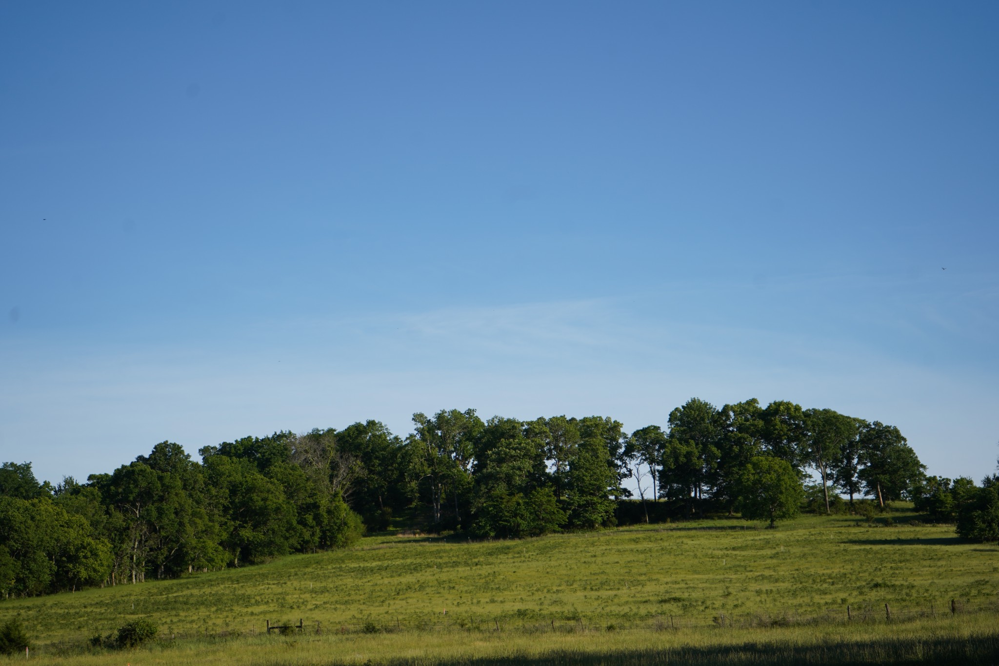 1480 Rogers Ln Property Photo 4