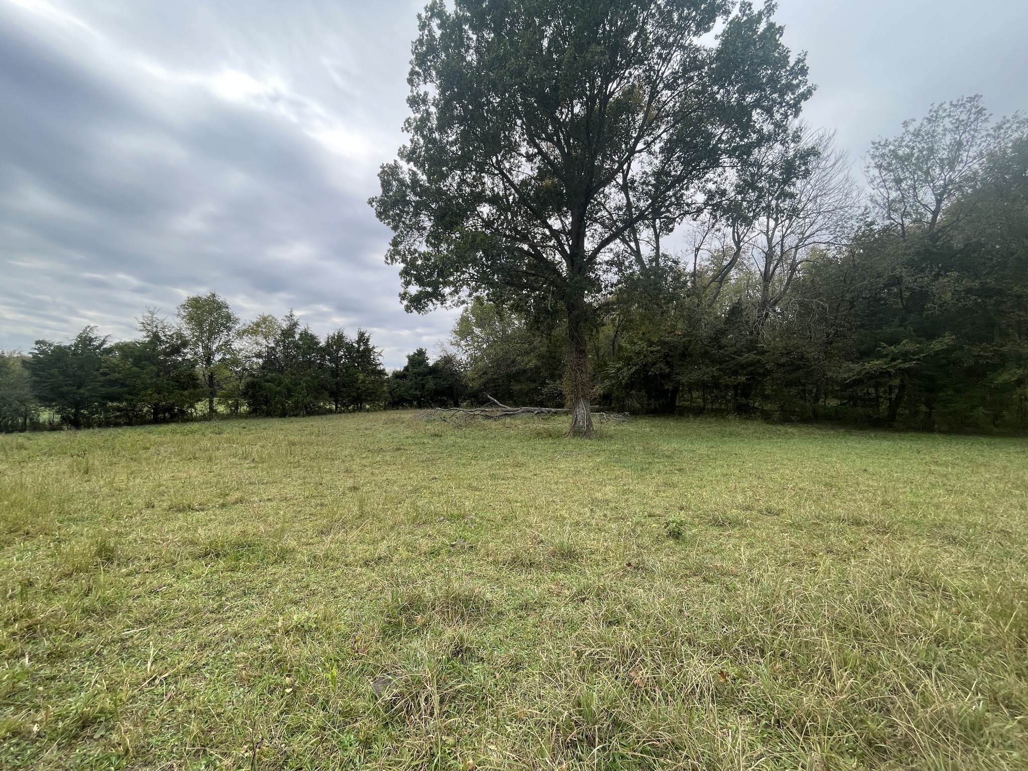 1480 Rogers Ln Property Photo 37