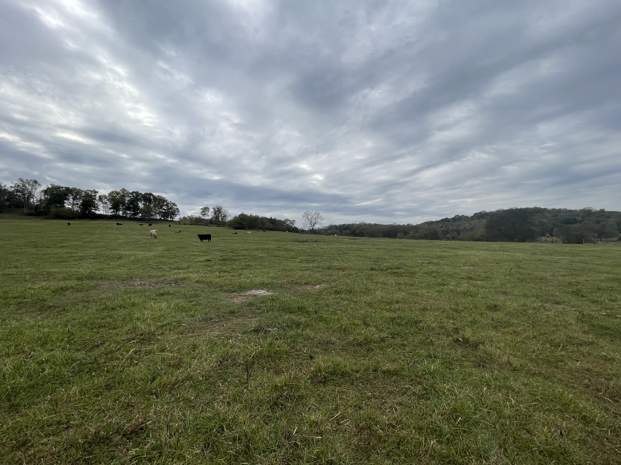 1480 Rogers Ln Property Photo 43