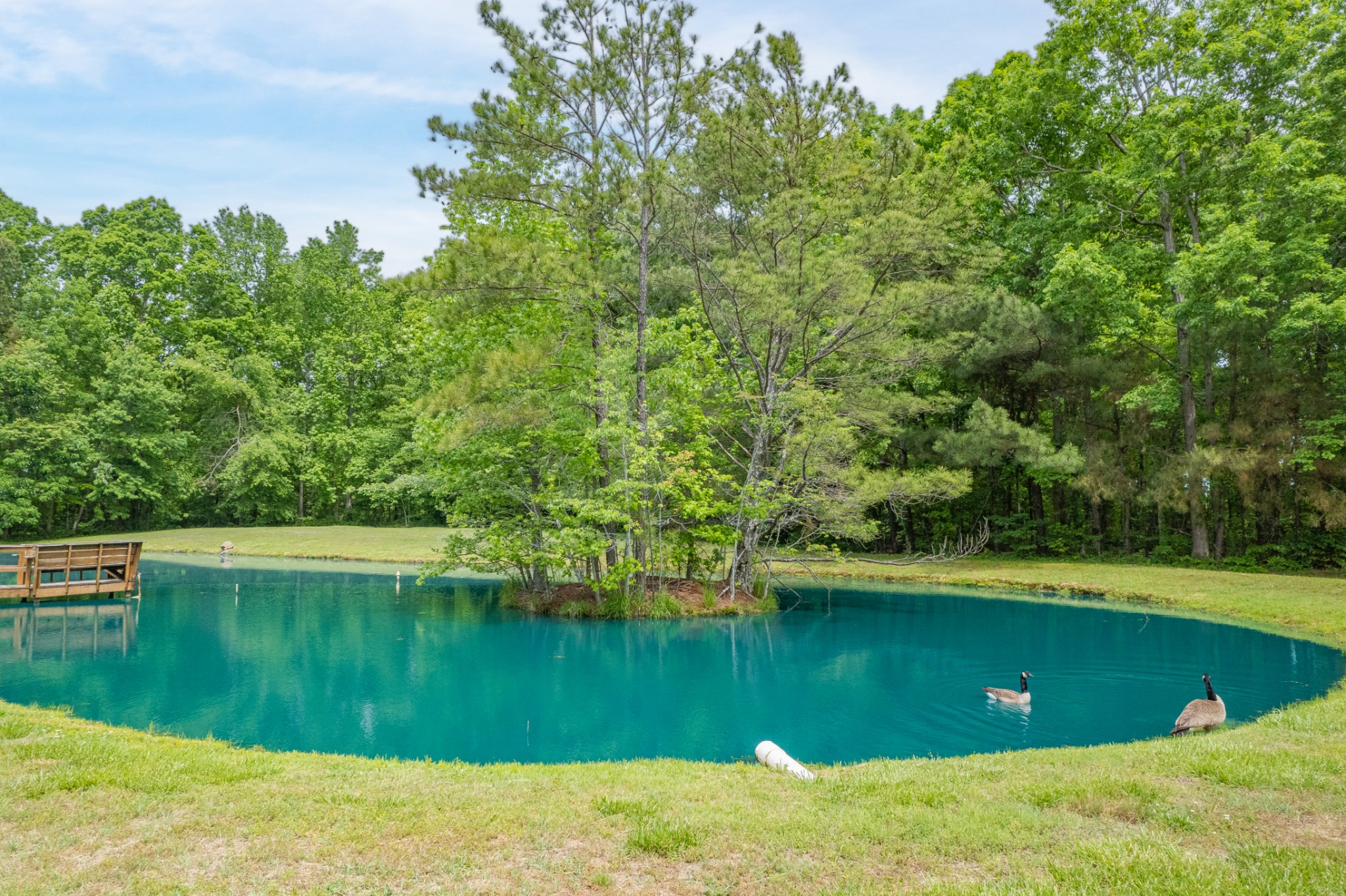 5904 New Highway 7 Property Photo 35