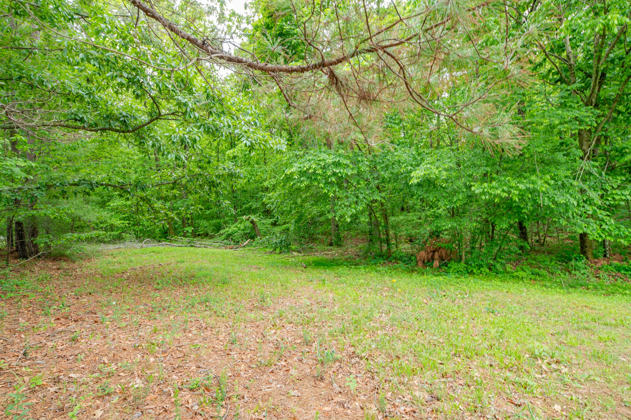 5904 New Highway 7 Property Photo 75