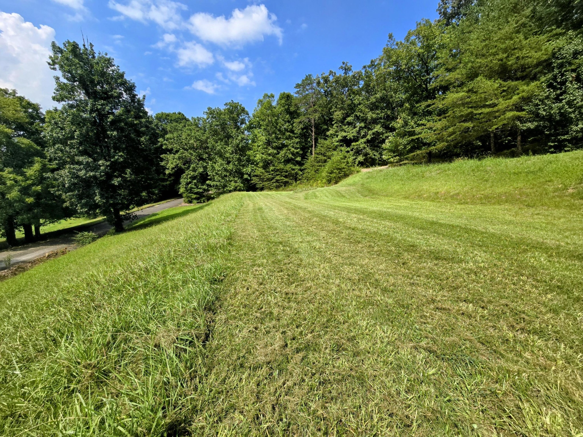 2042 Willow Springs Drive Property Photo 2