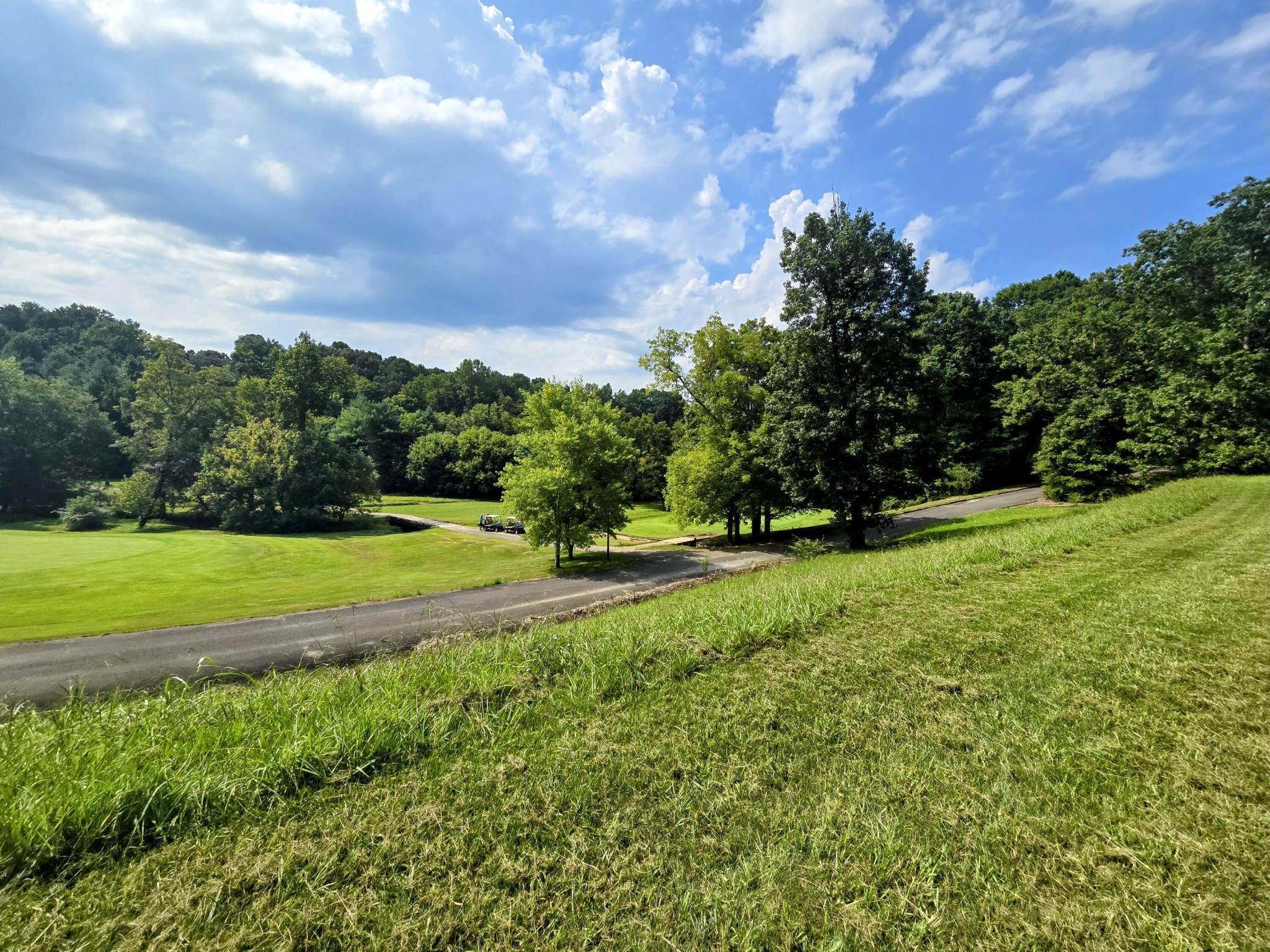 2042 Willow Springs Drive Property Photo 3