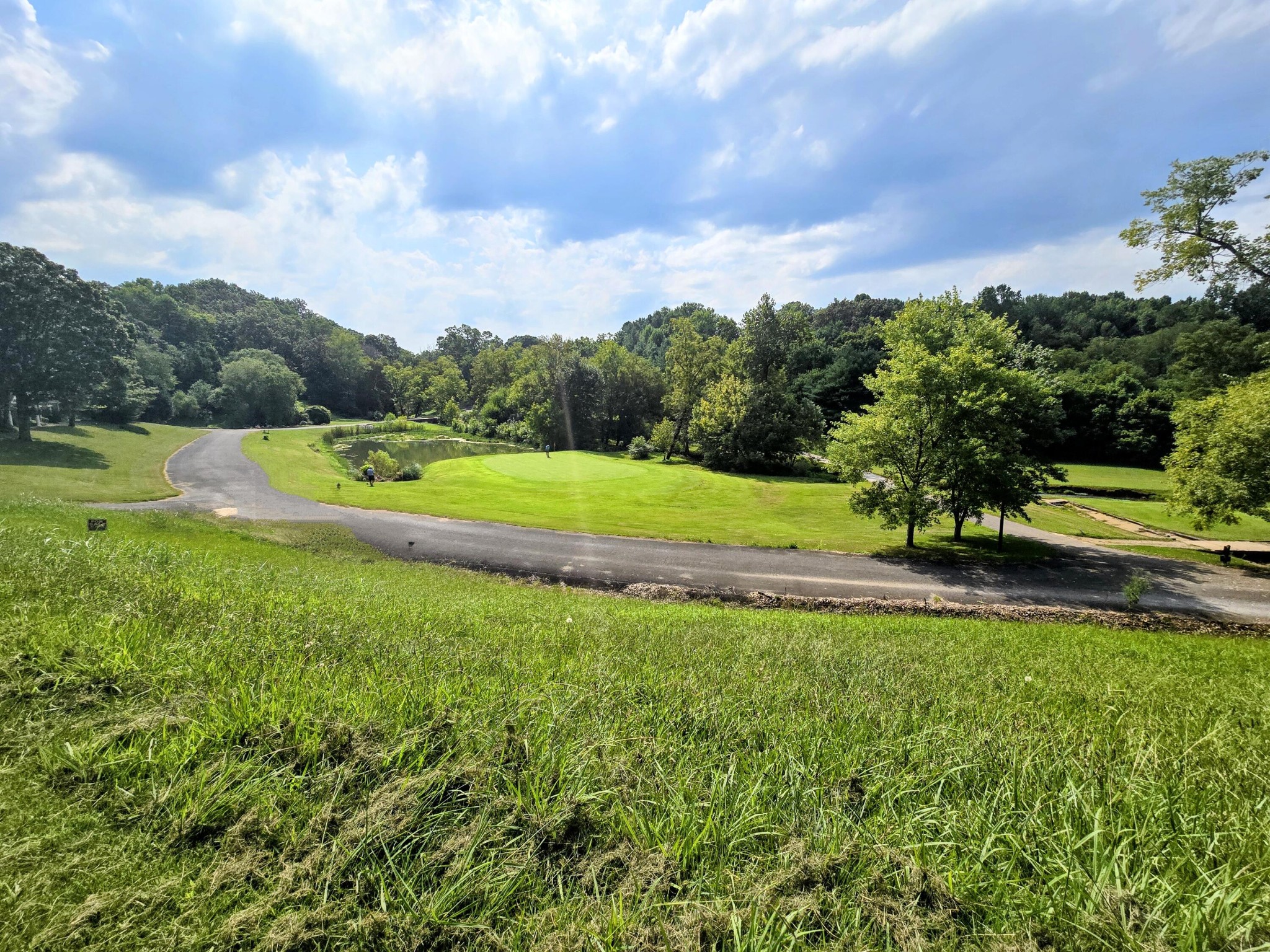 2042 Willow Springs Drive Property Photo 4