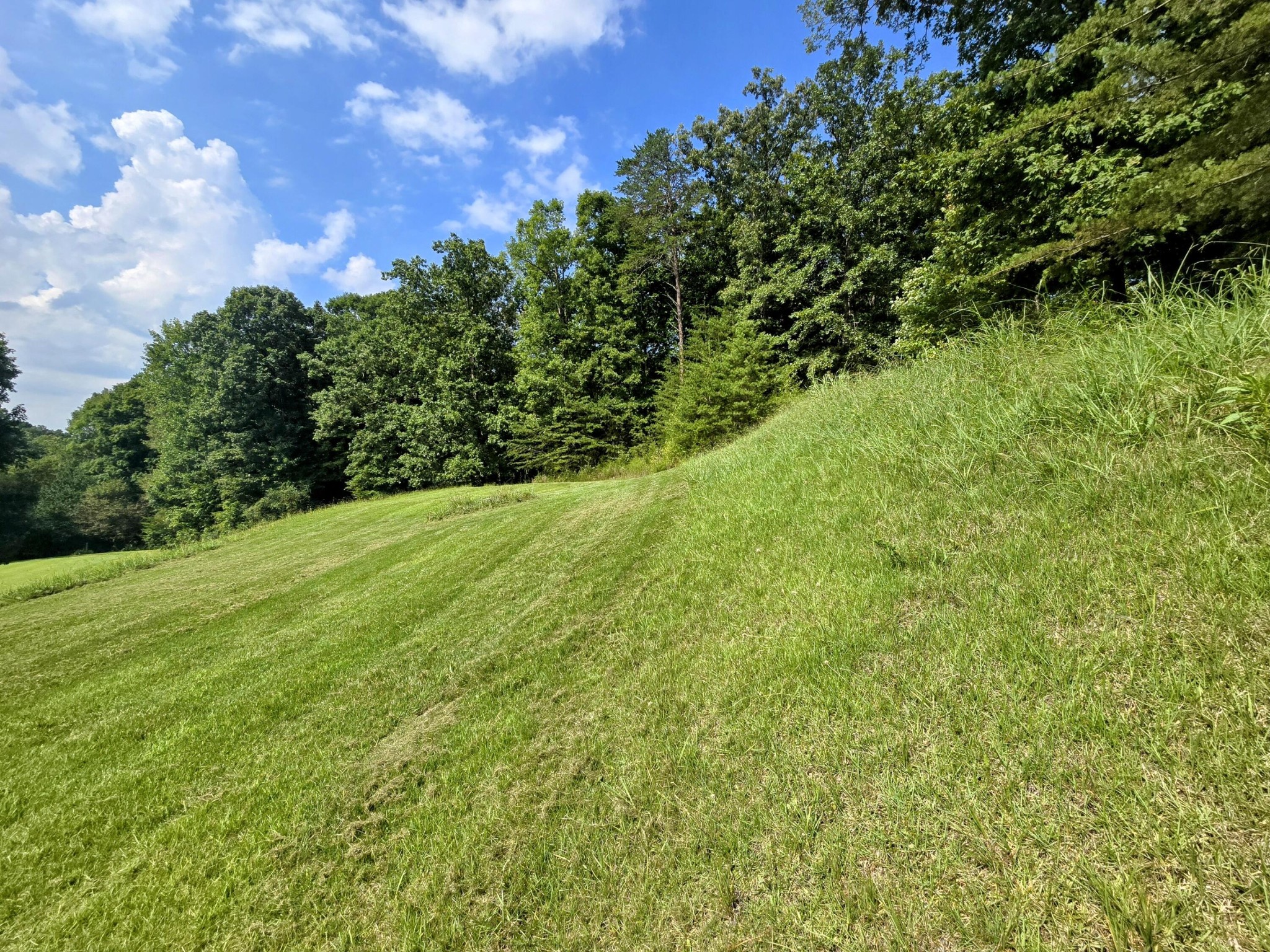 2042 Willow Springs Drive Property Photo 6