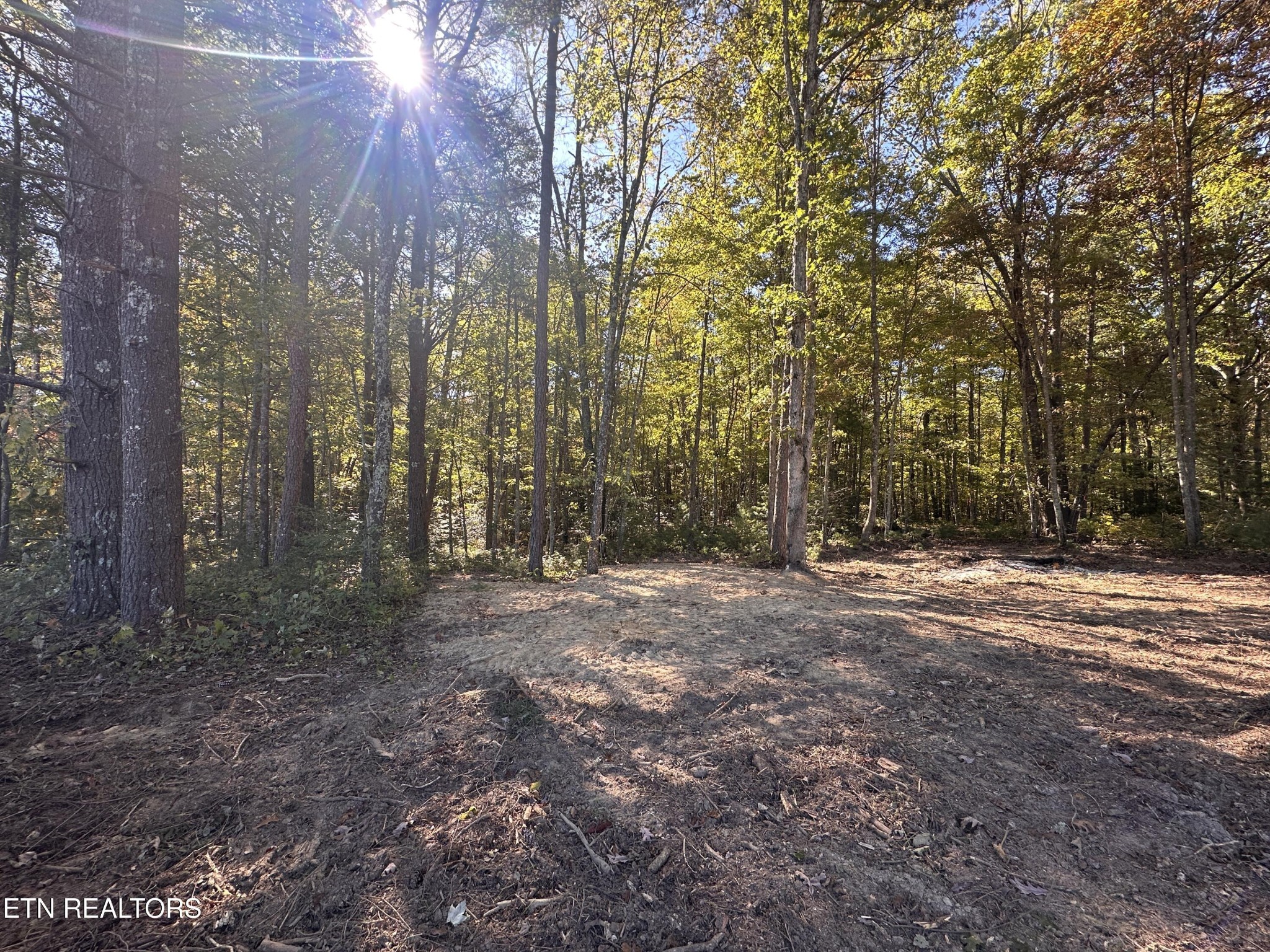 186 Cave Branch Rd Property Photo 1