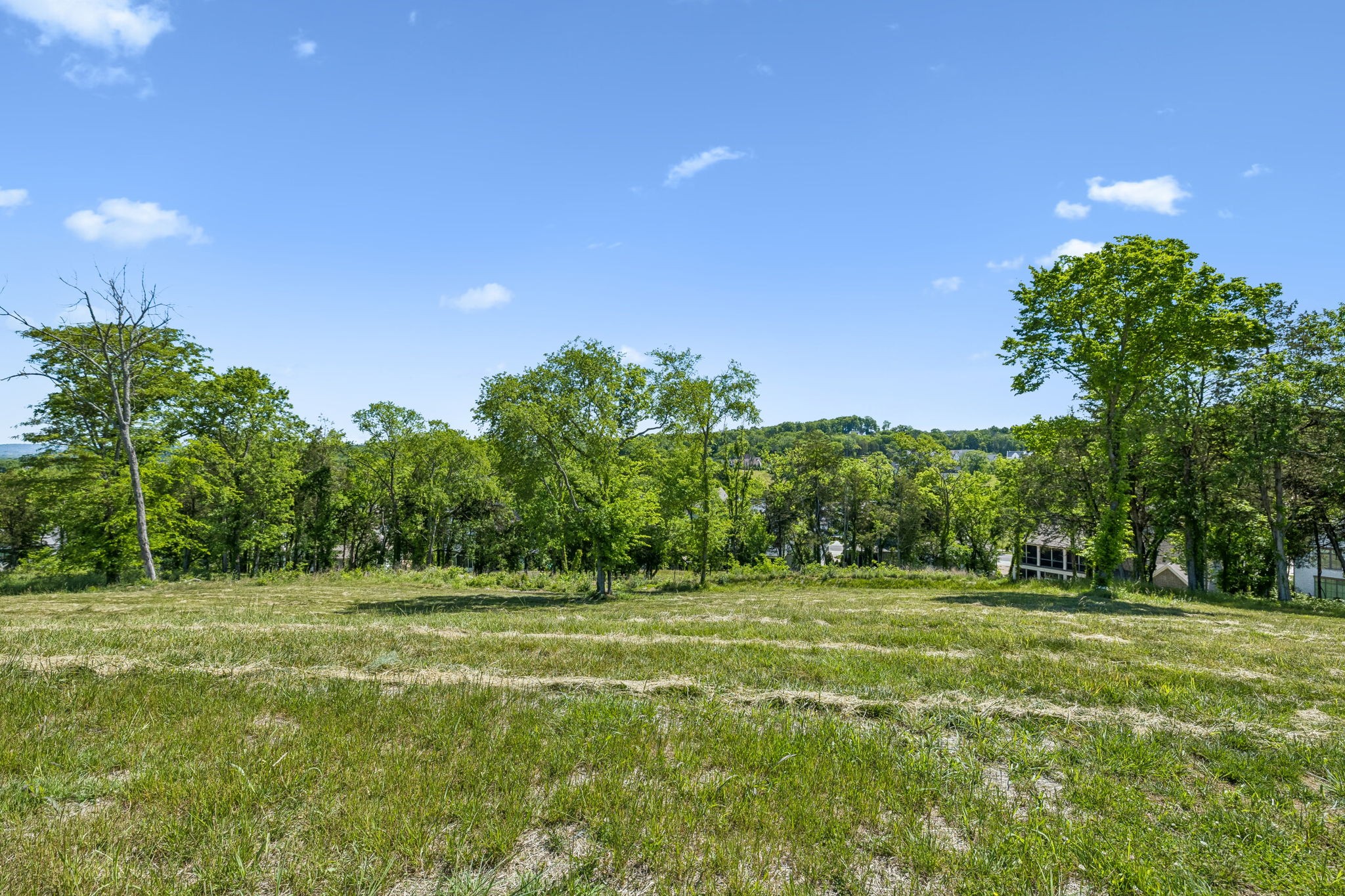 9120 Sawtooth Ln Property Photo 7