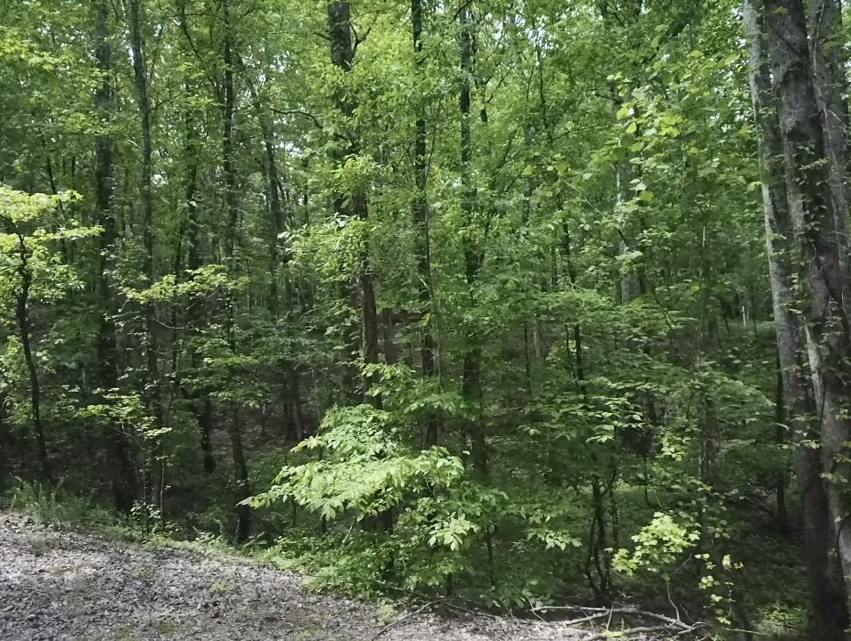 730 Wayne Smith Rd Property Photo 1