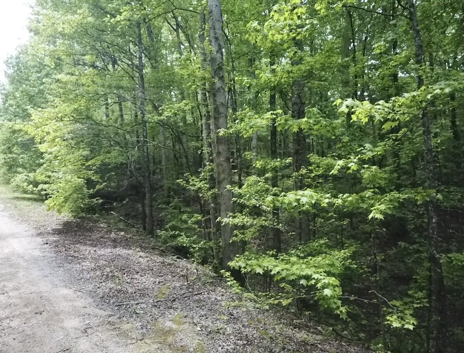 730 Wayne Smith Rd Property Photo 3